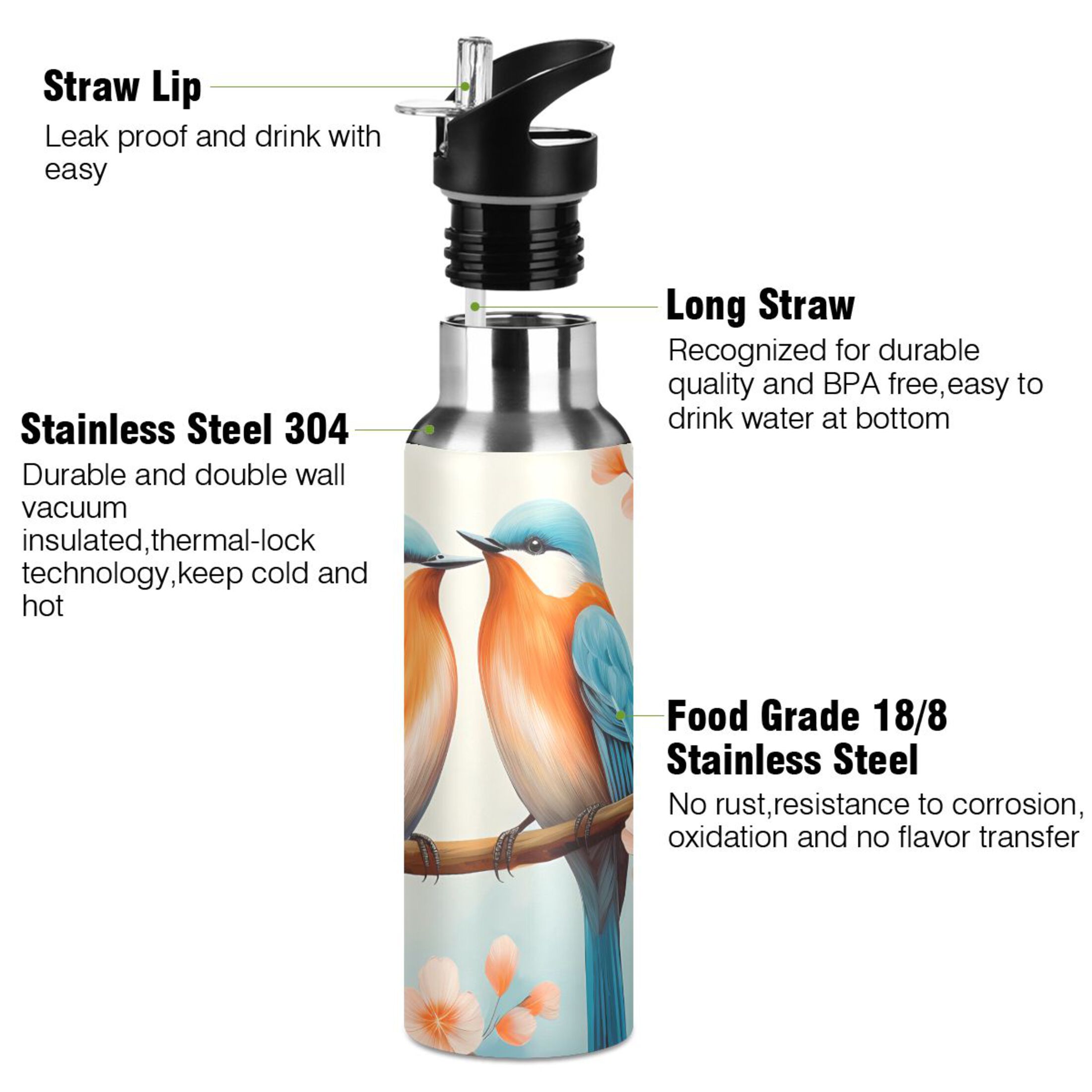 Couple Bird on Branch Water Bottles Insulated Thermos Kids Stainless Steel Bottle with Straw Lid Flask Leakproof for Sports Gym 20 oz