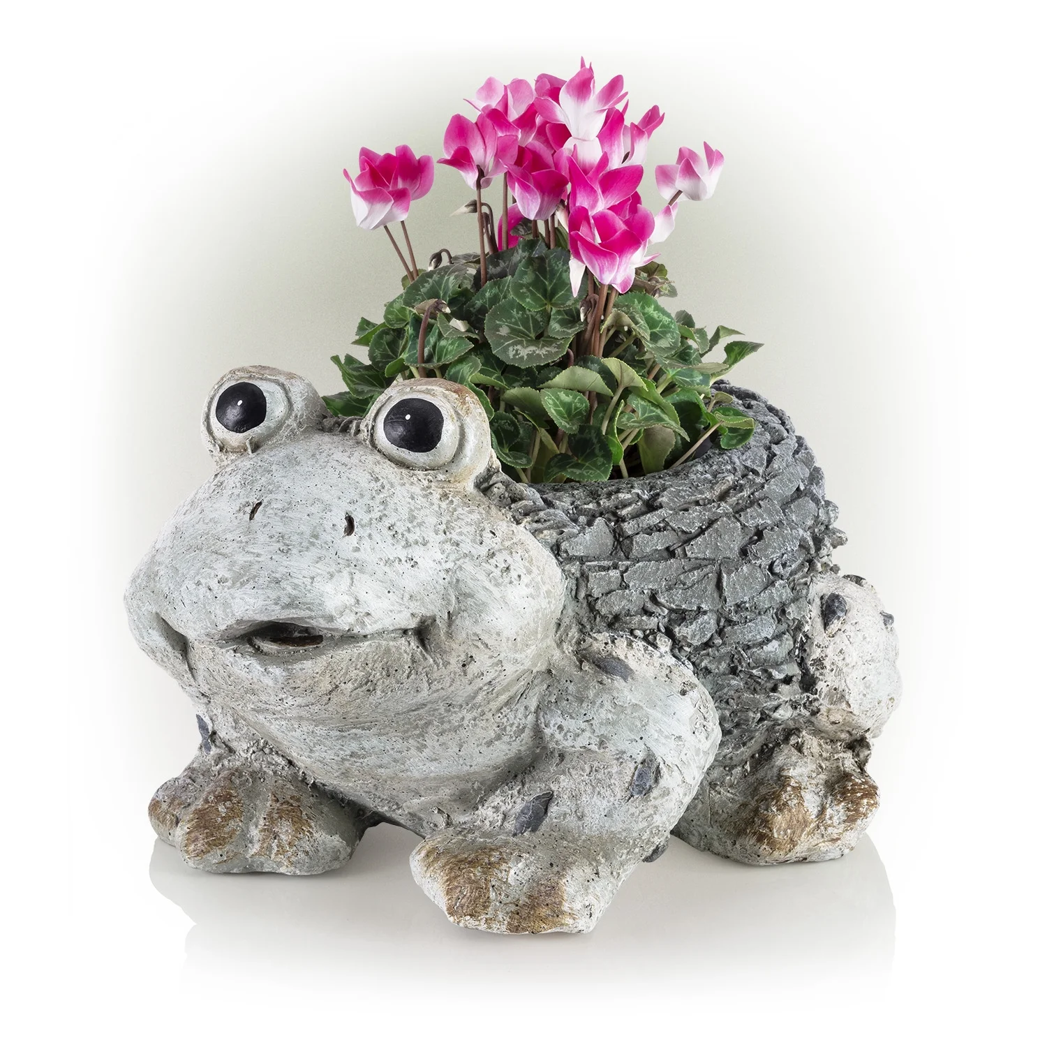 Alpine Corporation 14