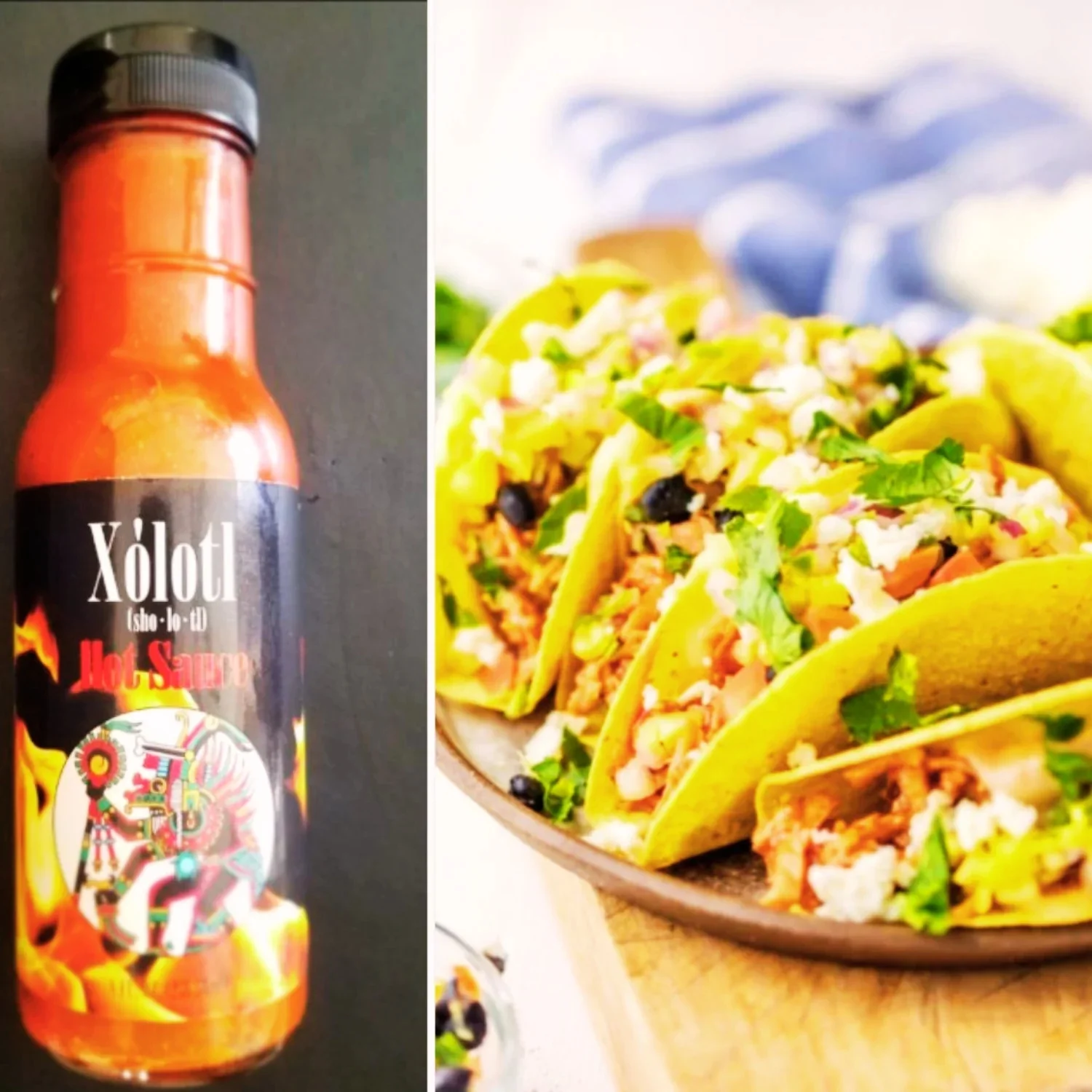 Stadium Salsa | Xolotl Fiery Hot Tomato Based Sauce Fiery Jalapenos - 3 Pack | 8oz Bottles