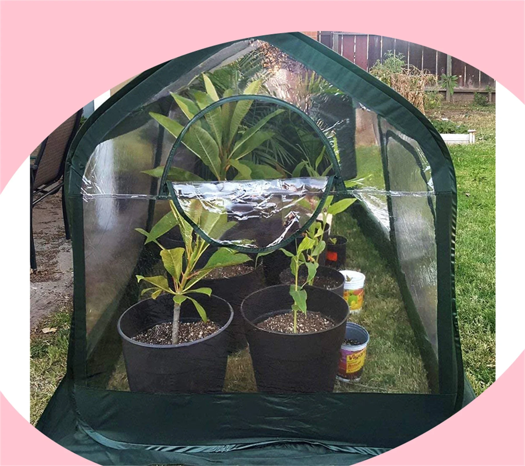 Mini Portable Greenhouse Pop up Grow House for Outdoor & Indoor