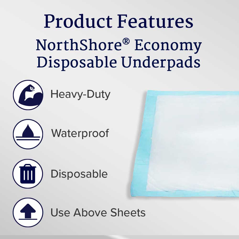 NorthShore Economy Disposable Underpads, Small, 17x24 in., Case/200 (4/50s)
