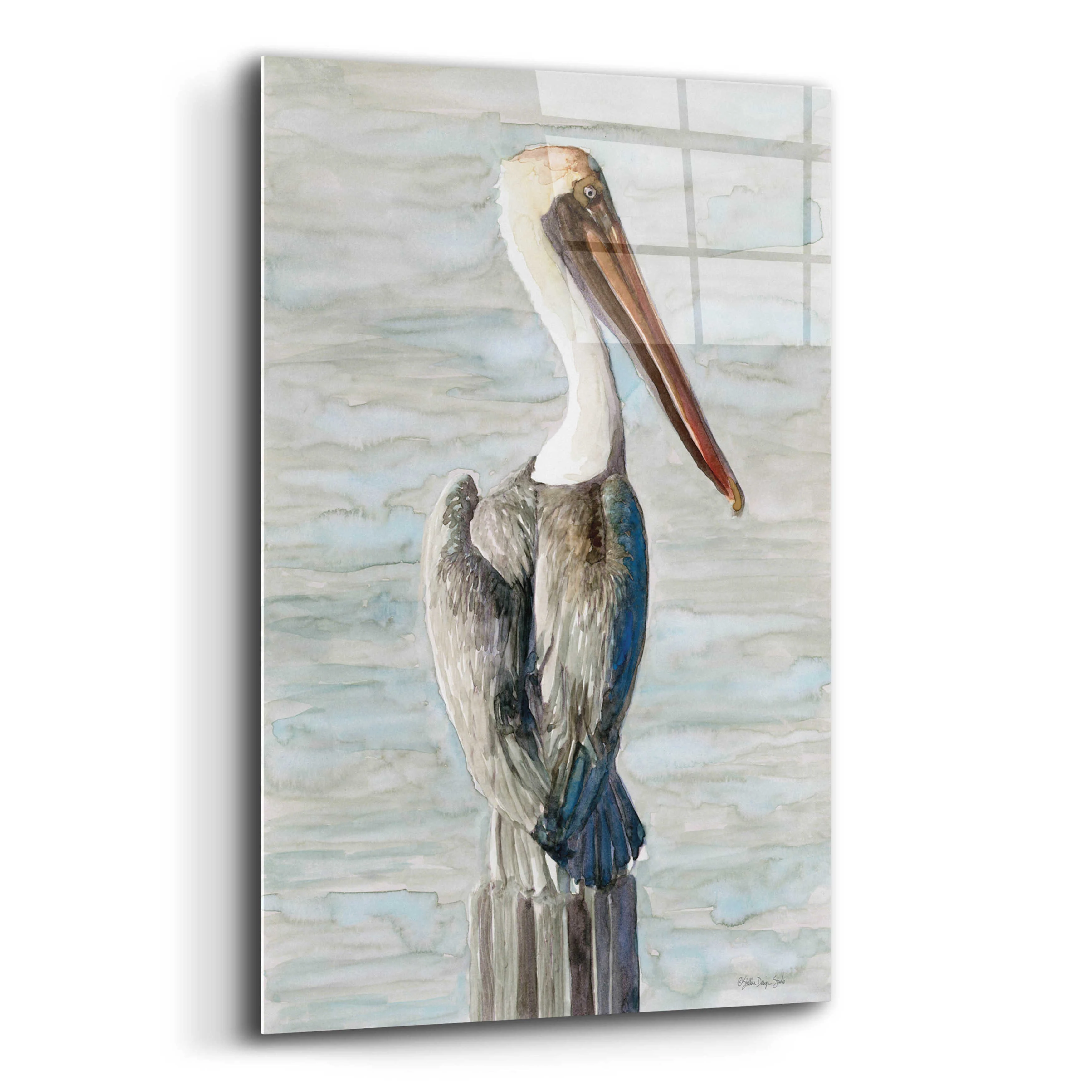 Epic Art 'Brown Pelican 1' by Stellar Design Studio, Acrylic Glass Wall Art, 12