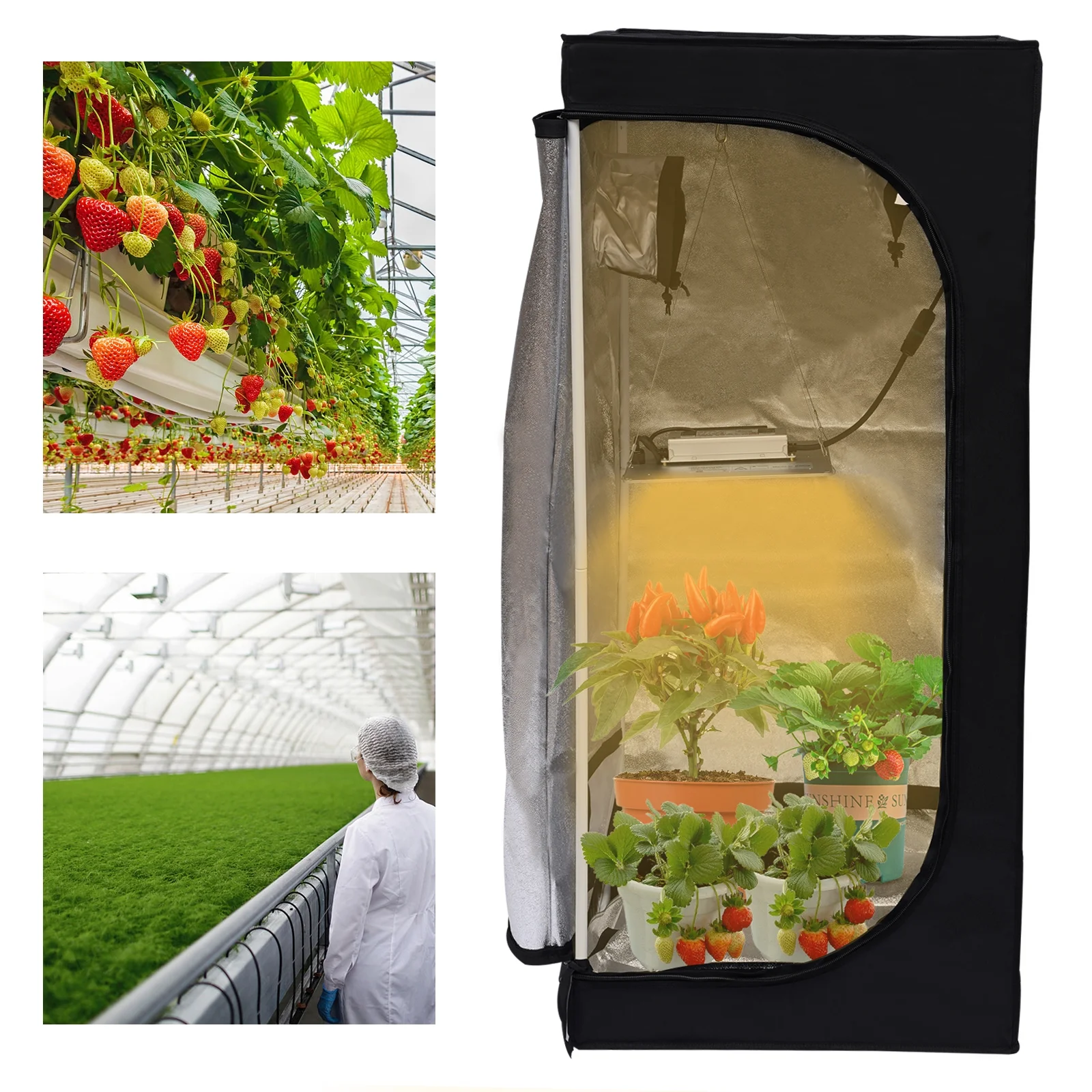 Miumaeov Grow Tent Kit, LED Grow Light Full Spectrum Indoor Grow Tent Kit, Hydroponics Grow Tent Canvas with Ventilation Kit for Grow Tent Complete System