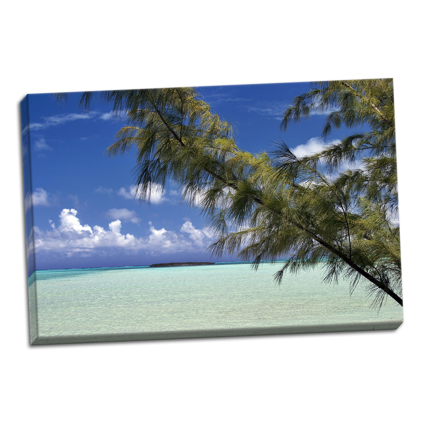 Gango Home Decor Sandbar Pelican Cay by Larry Malvin (Ready to Hang); One 36x24in Hand-Stretched Canvas