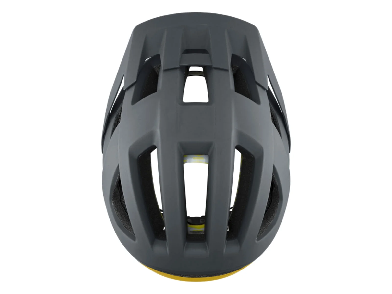 Smith Session MIPS Bike Helmet, Matte Slate/Fool'S Gold, Large