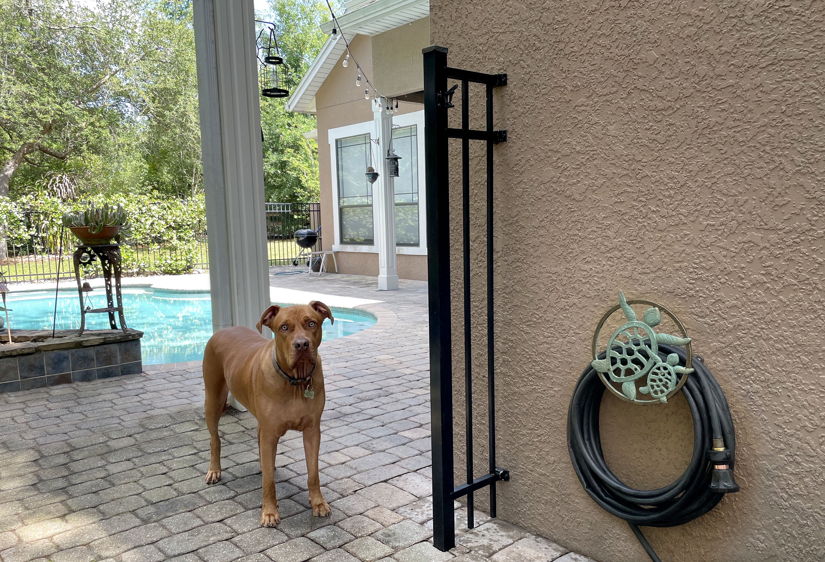 Zeckos Verdigris Bronze Cast Iron Sea Turtle Wall Mount Garden Hose Hanger