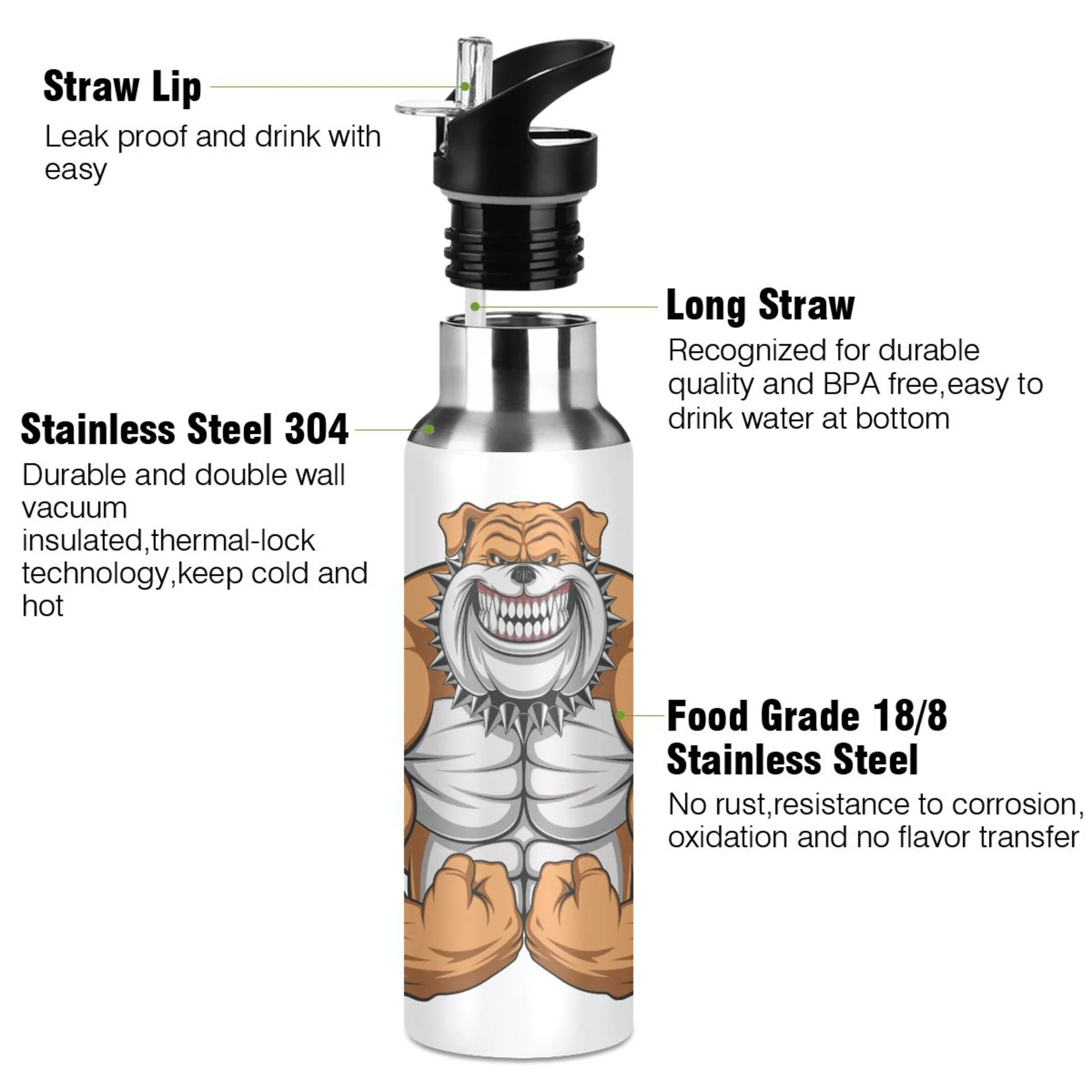 Water Bottle with Straw Lid Leak Dog Stainless Steel Insulated Thermos Vacuum Flask for Cold Hot Drinking for Sports Camping Gym Yoga