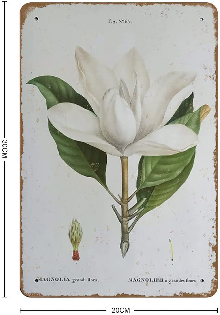 Magnolia Print Vintage Botanical Tin Sign Wall Art Decor Antique Kitchen Art, Novelty Tin Metal Sign Plaque Bar Pub Vintage Retro Wall Decor Poster Home Group Porch Metal Sign Lobby Metal Sign 8