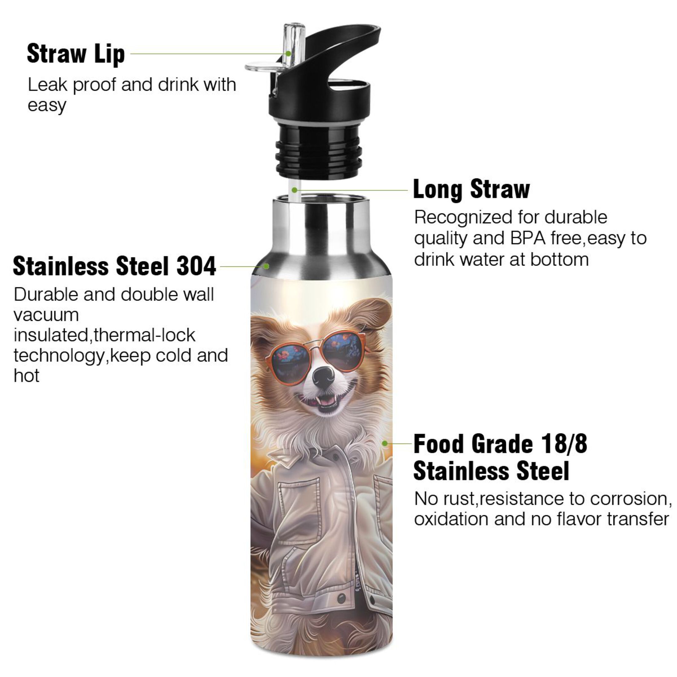 Cool Dog in Wild Flowers Water Bottles Insulated Thermos Kids Stainless Steel Bottle with Straw Lid Flask Leakproof for Sports Gym 20 oz