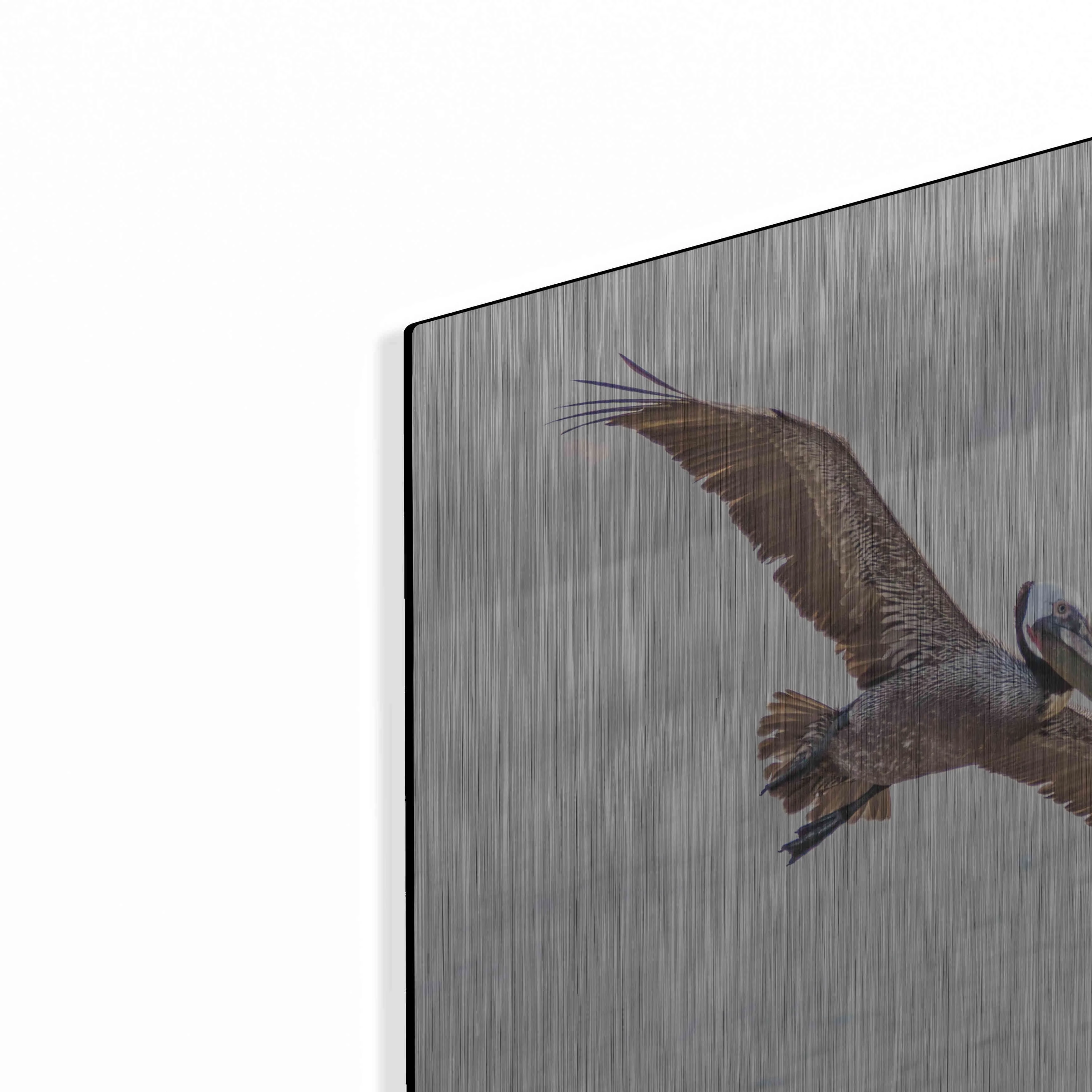 Luxe Metal Art 'Pelican Spread' by Chris Moyer, Metal Wall Art, 16