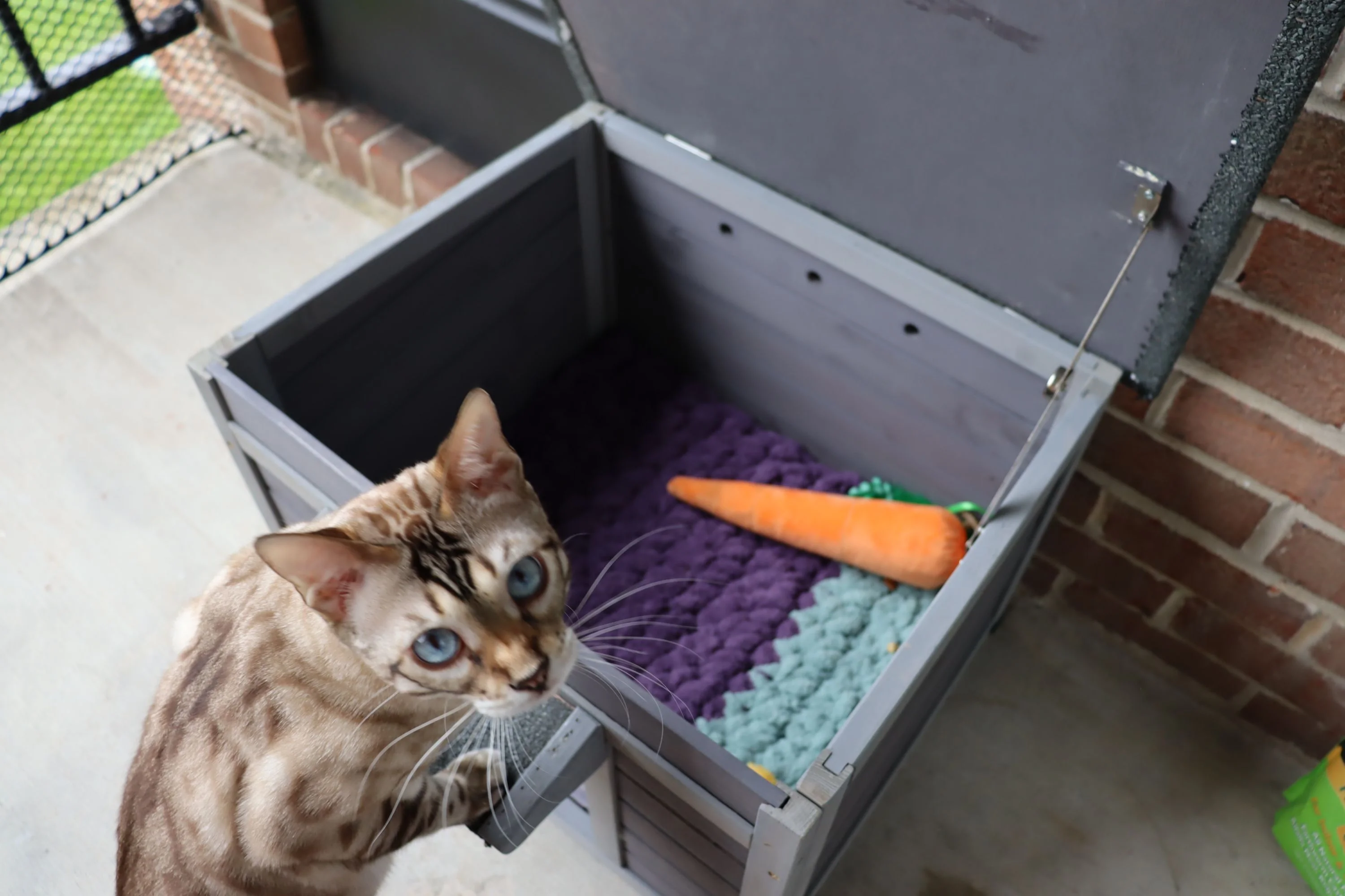 Morgete 22.3'' Small Cat House for Feral Cat, Wood Shelter for Small Animals