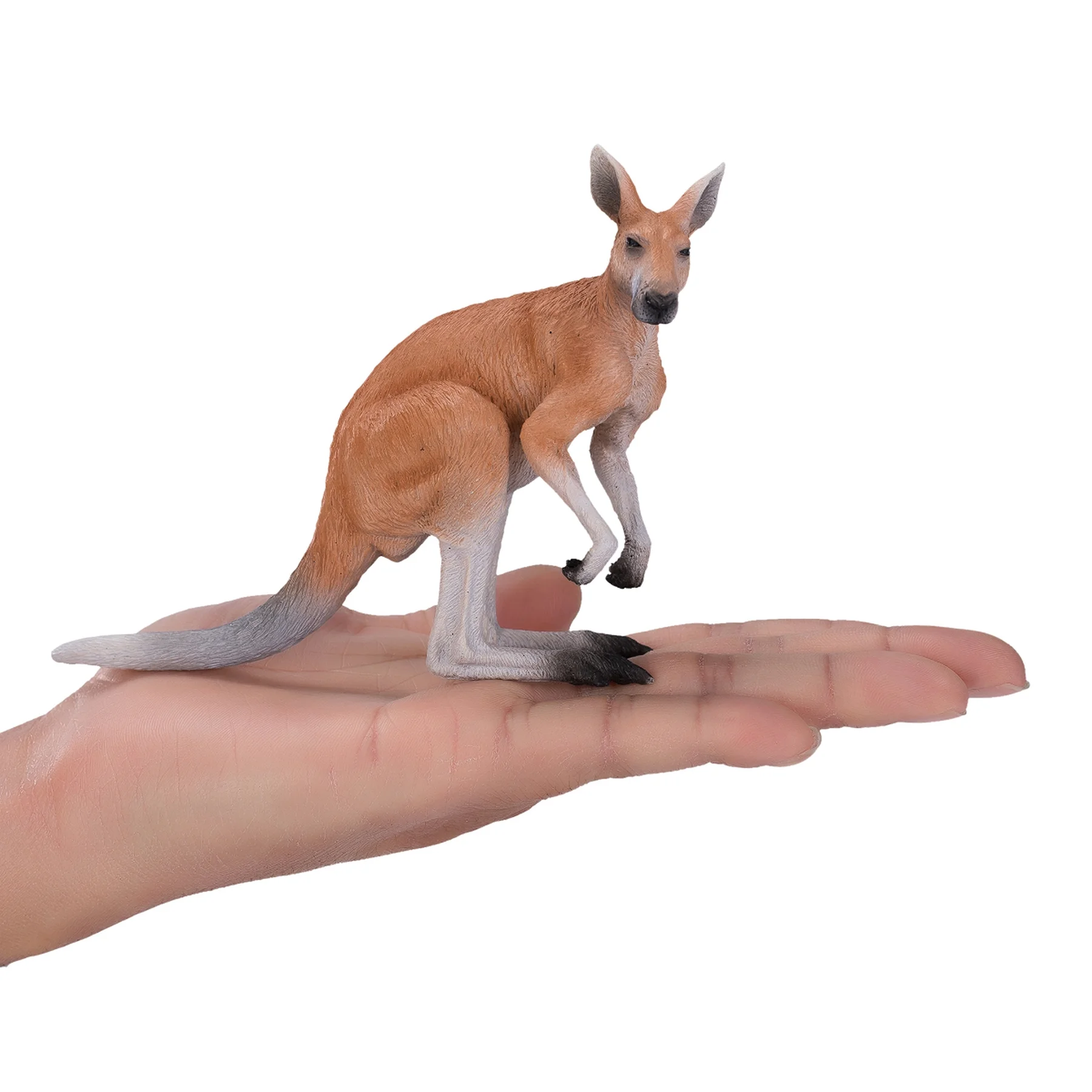 MOJO Kangaroo Realistic International Wildlife Hand Painted Toy Figurine