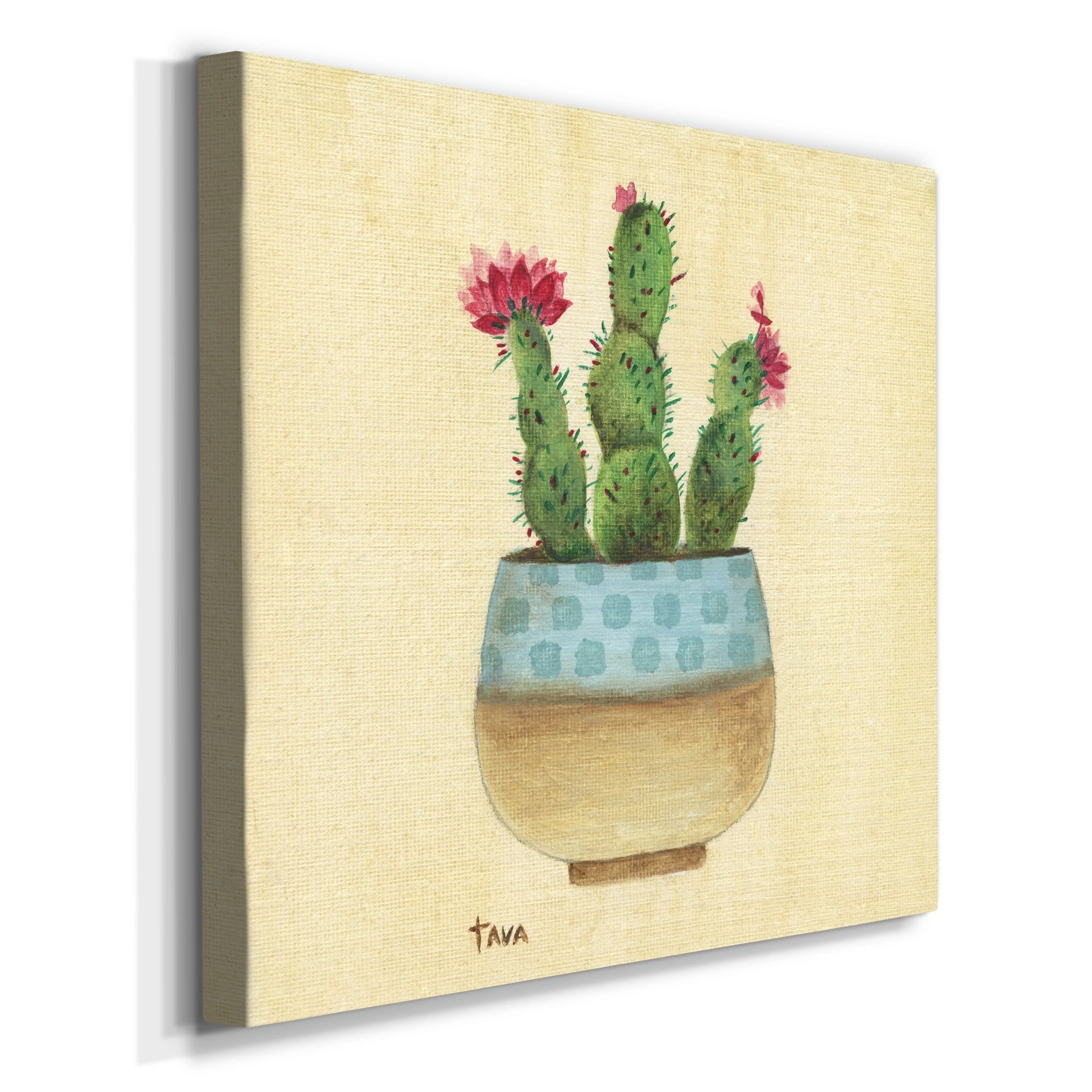 Wexford Home Flowering Cactus-Premium Gallery Wrapped Canvas - Ready to Hang 10X10