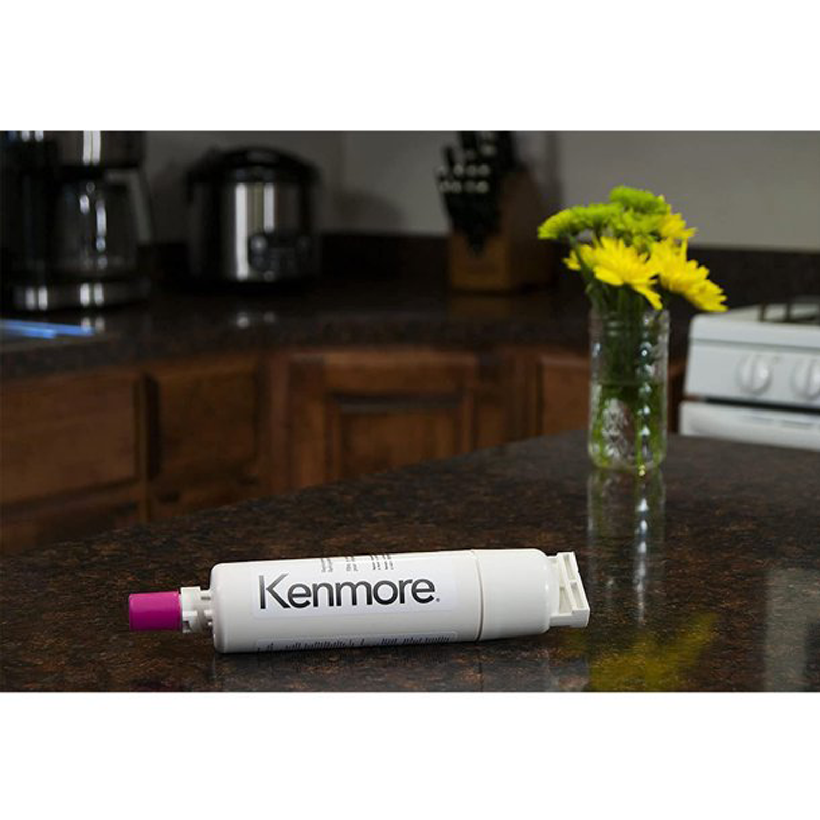 4 Pack Kenmore 9085 Refrigerator Water Filter Replacement Compatible with 4396508,46-9010, 469010, 46-9085