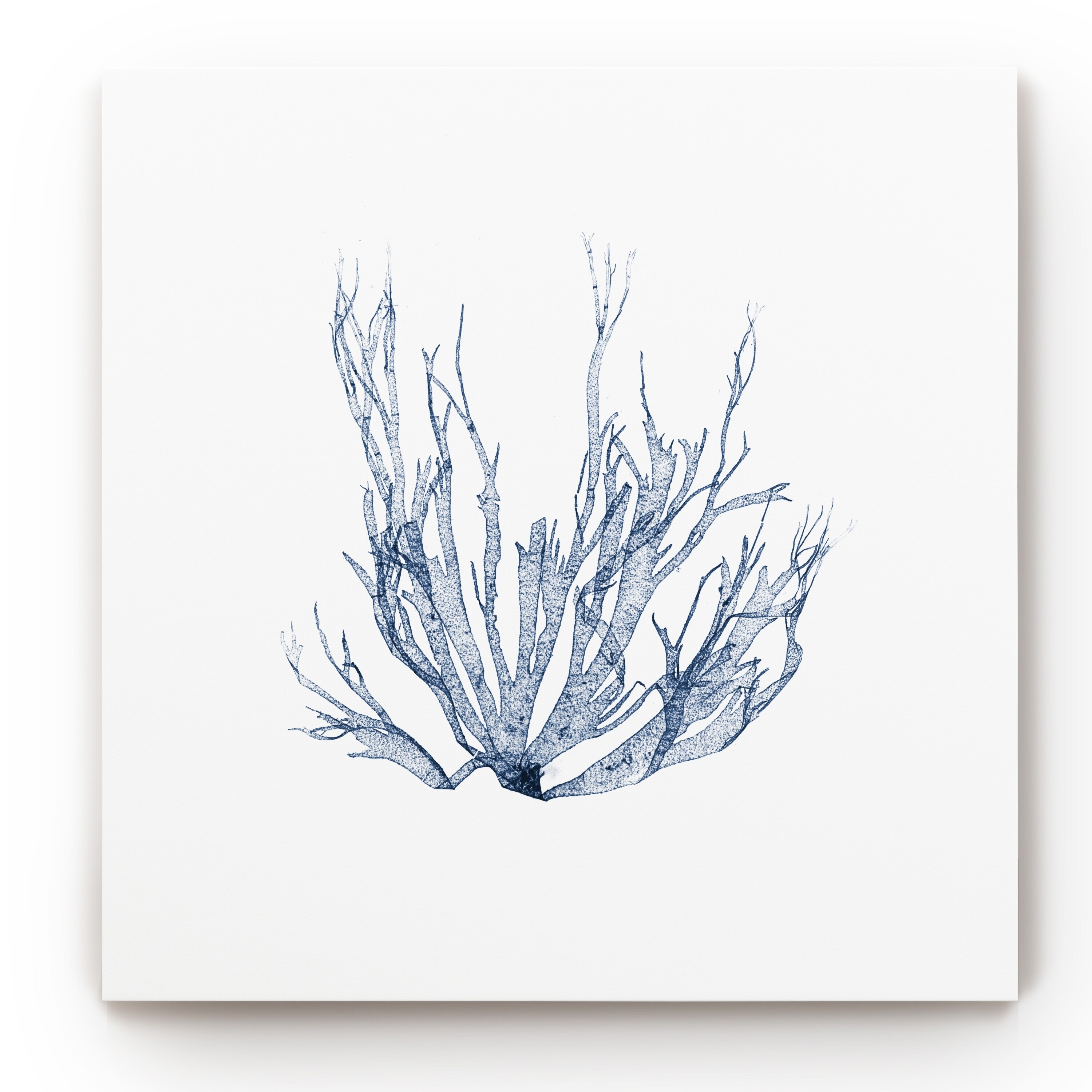 Wexford Home Navy Seaweed IV -Gallery Wrapped Canvas 10x10
