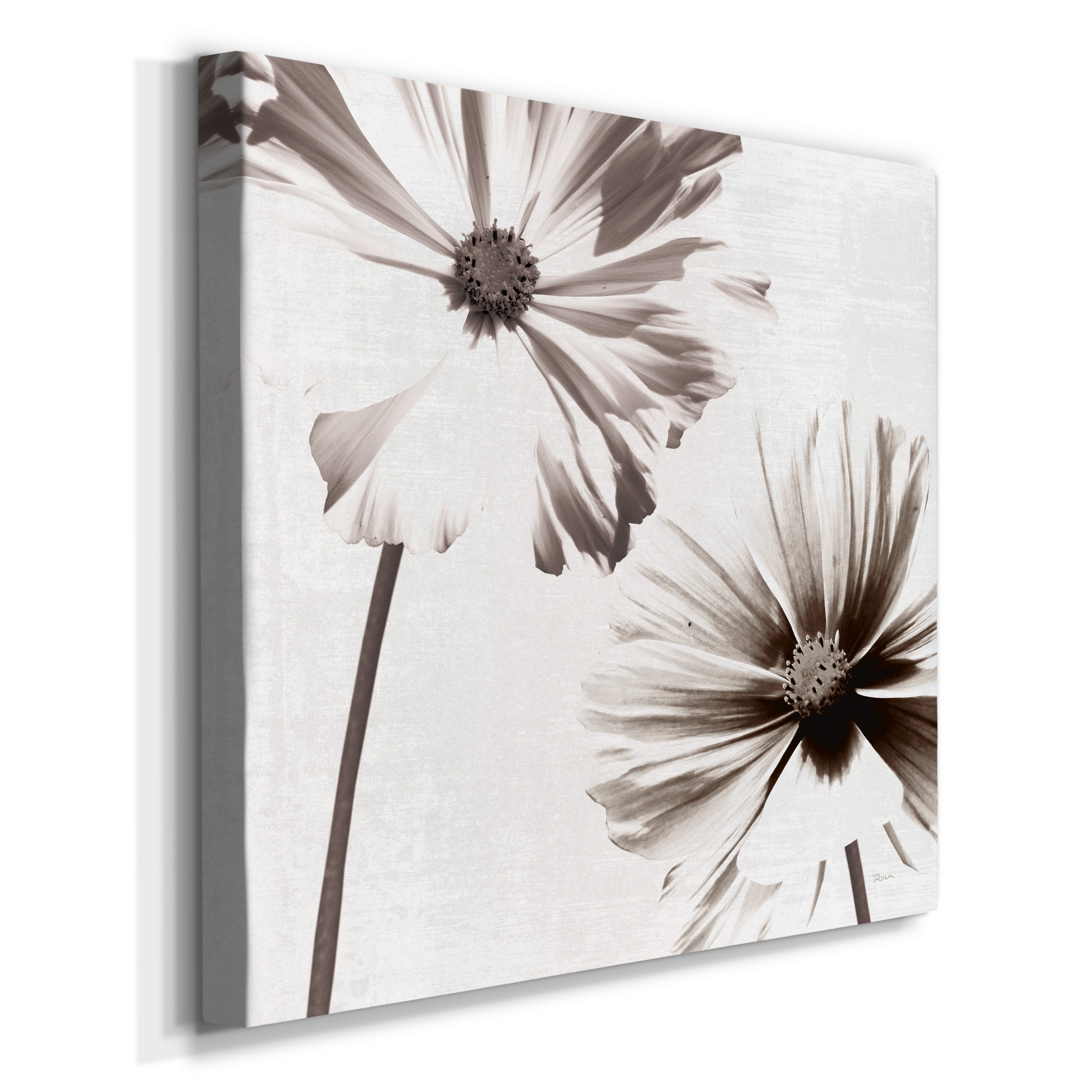 Wexford Home Takes Two III-Premium Gallery Wrapped Canvas - Ready to Hang 10X10