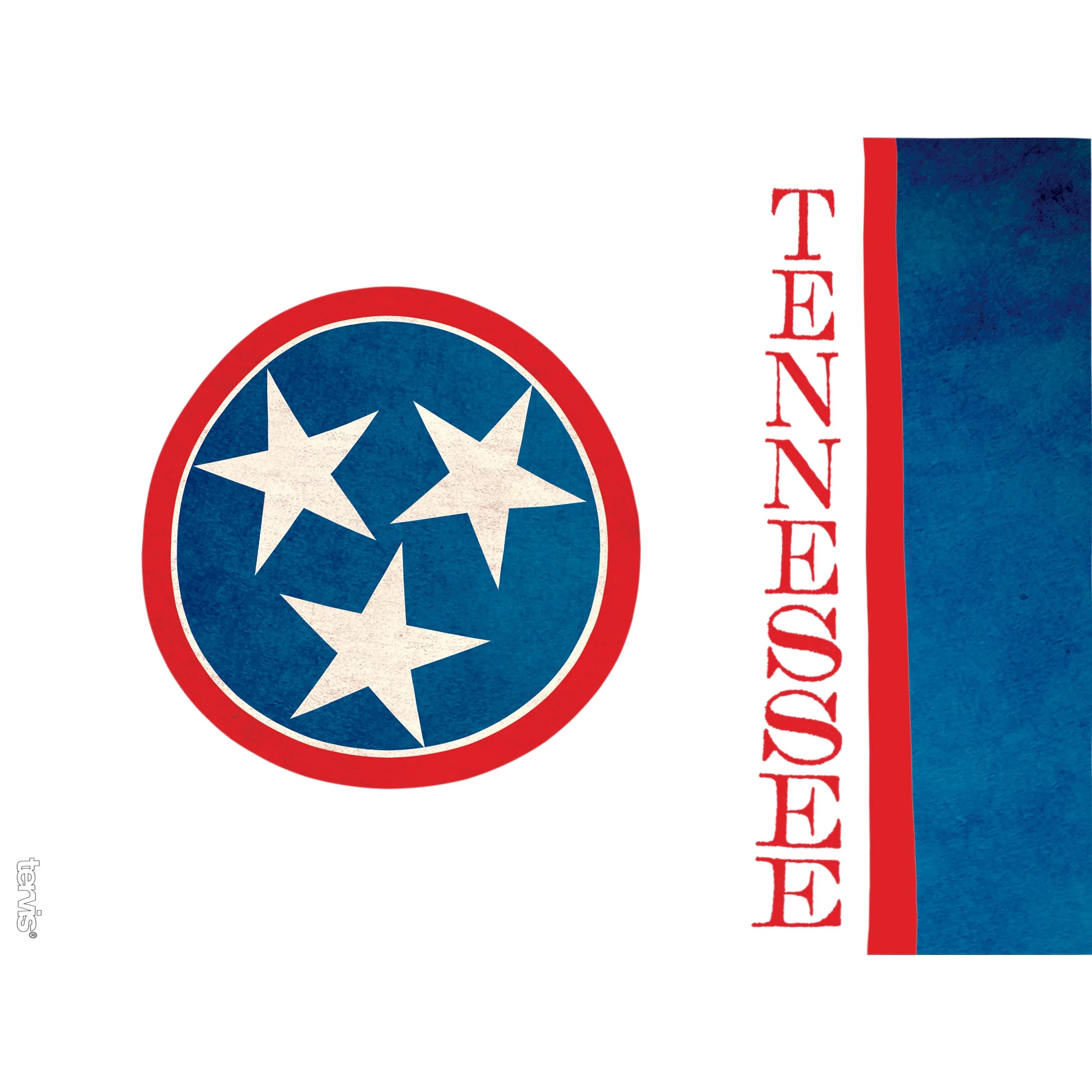 Tervis Tennessee Flag Made in USA Double Walled  Insulated Tumbler Travel Cup Keeps Drinks Cold & Hot, 24oz 2pk, Colossal