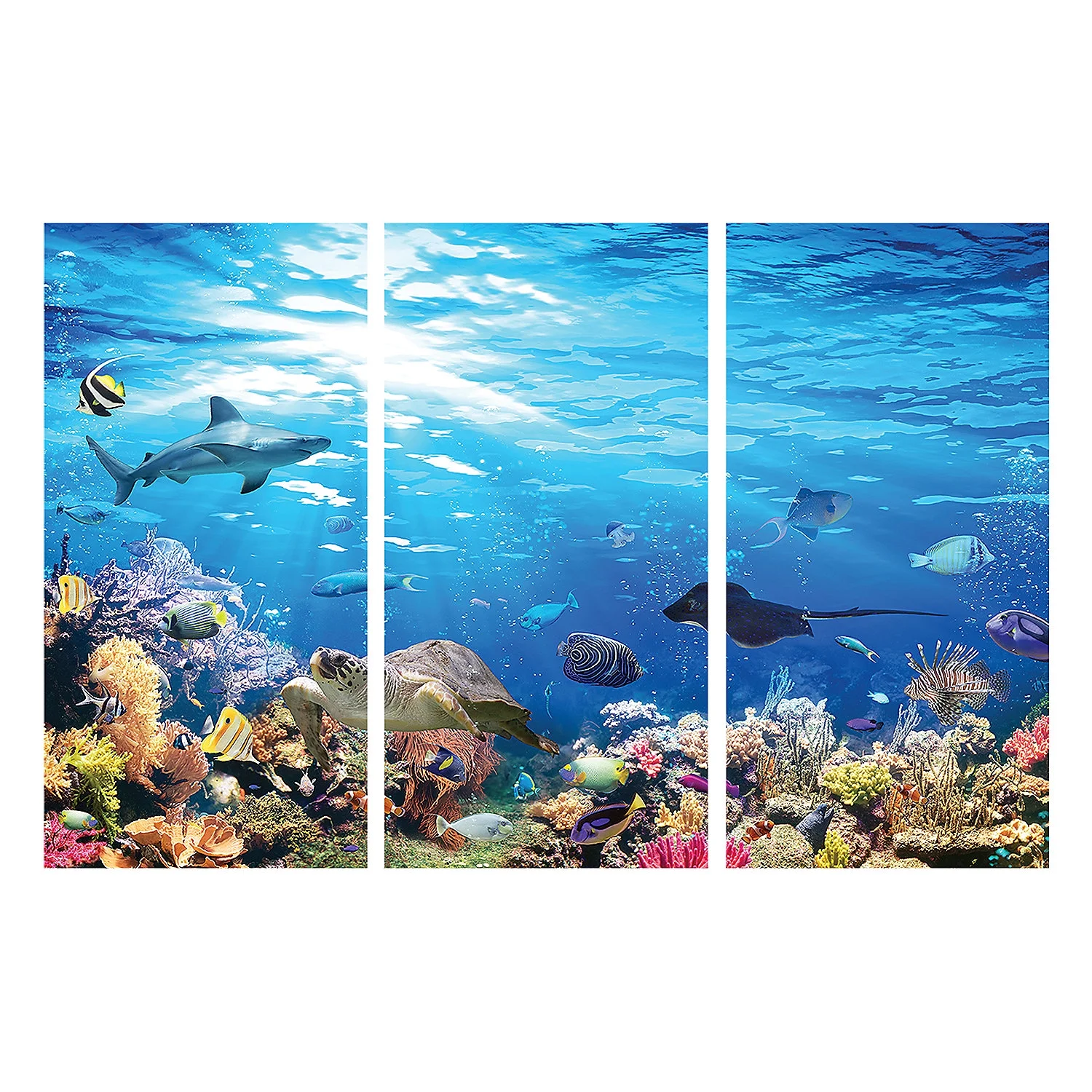 Outback VBS Reef Backdrop