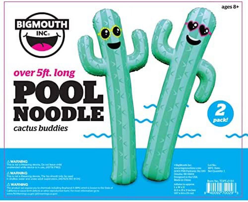 Inflatable Giant Cactus Friends Set Pool Floats