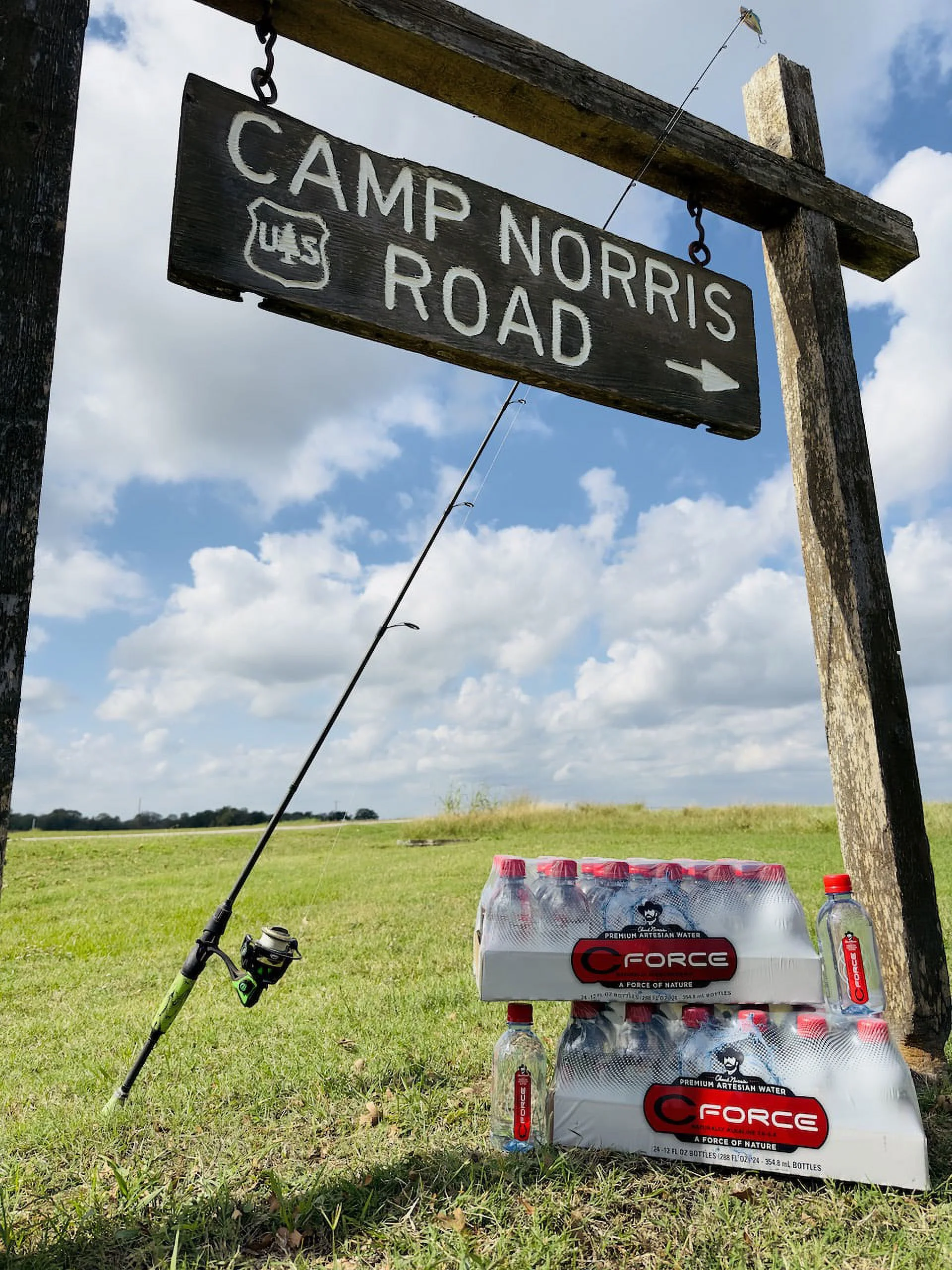 CForce Bottled Water, Naturally Alkaline Artesian Spring Water, 12 oz (350 ml) Plastic Bottles (24 Pack)