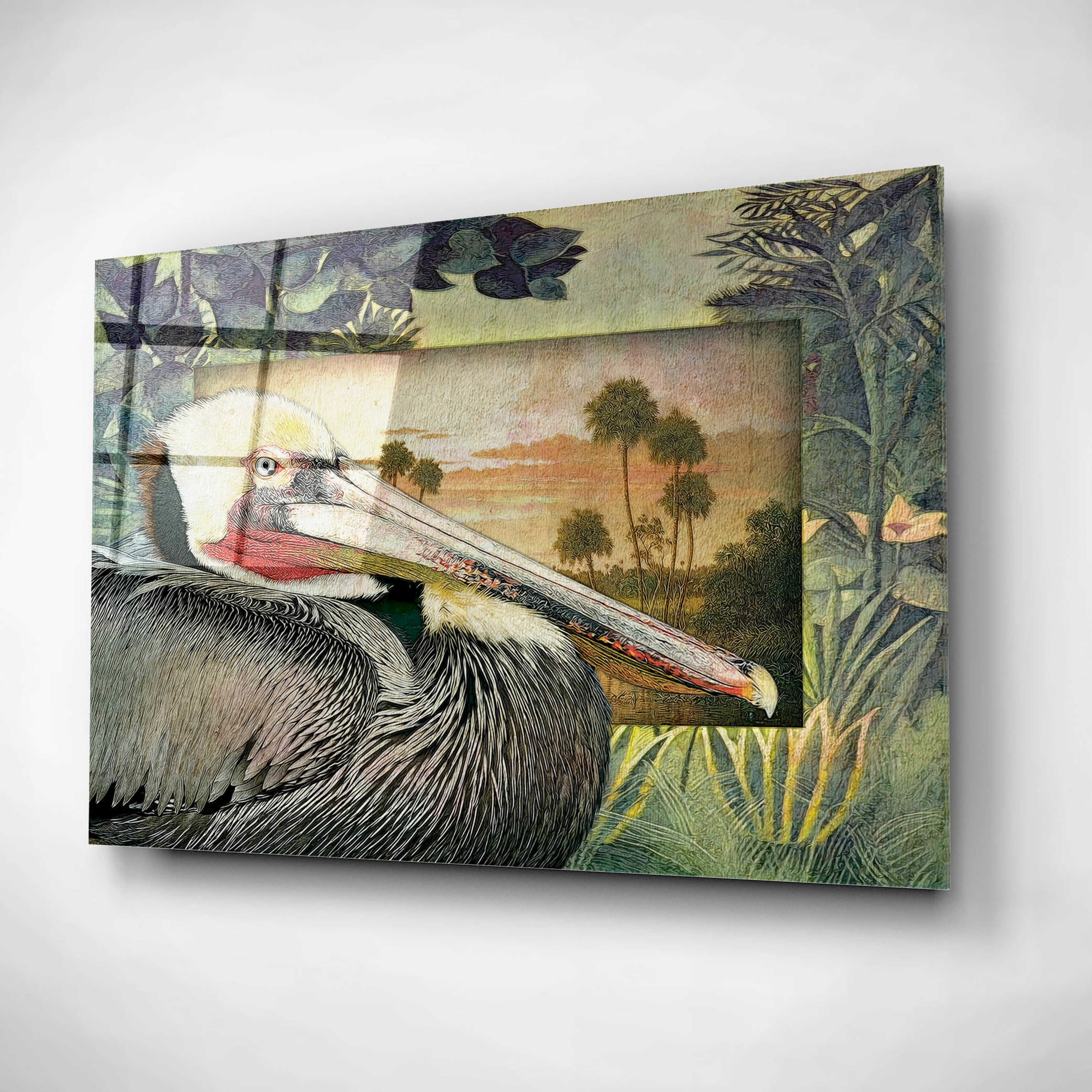 Epic Art 'Pelican Paradise I' by Steve Hunziker, Acrylic Glass Wall Art, 16