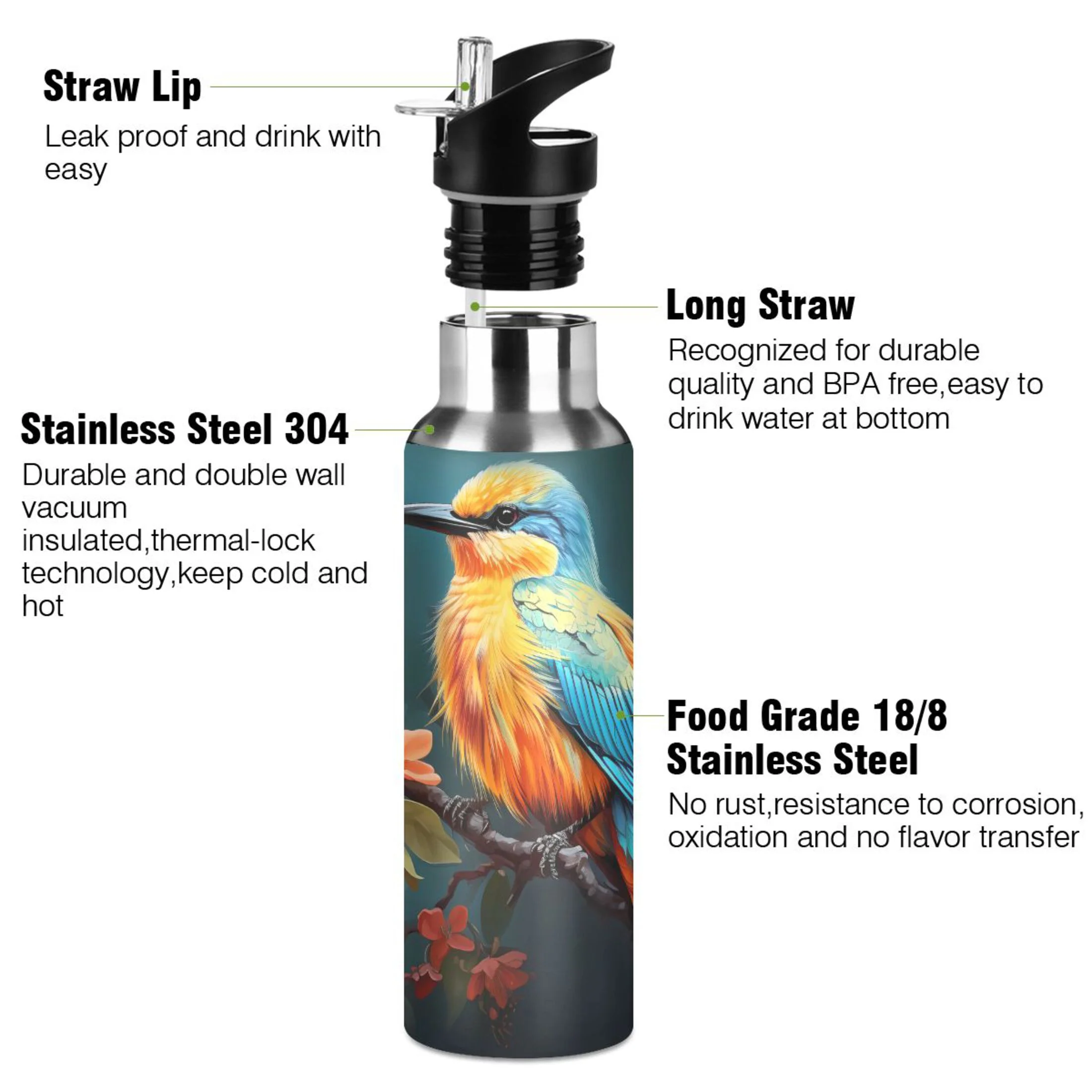 Beautiful Bird on Flower Branches Water Bottles Insulated Thermos Kids Stainless Steel Bottle with Straw Lid Flask Leakproof for Sports Gym 20 oz