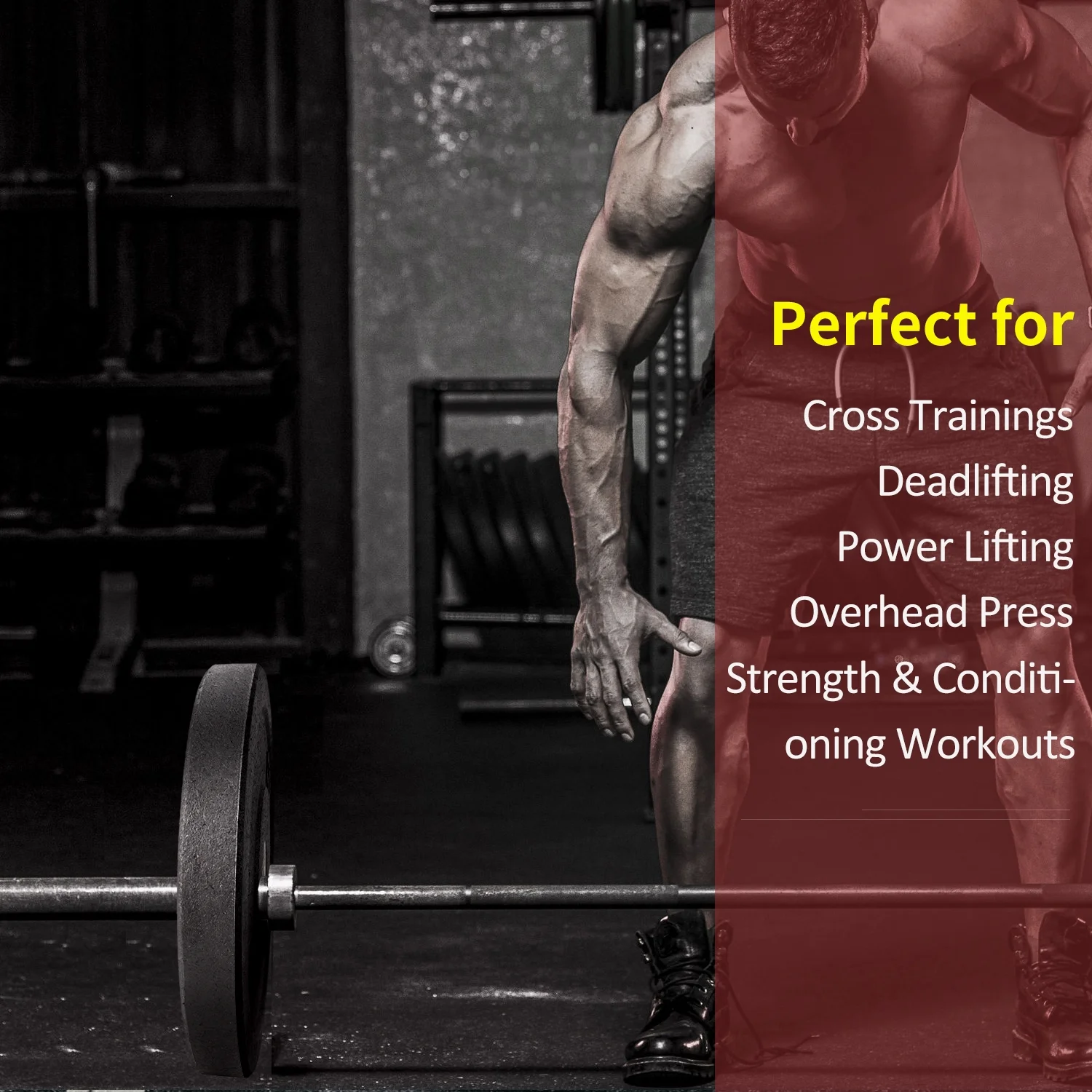 XPRT Fitness Olympic Crumb Rubber Bumper Weight Lifting Plate for Cross Training, Olympic Lifting, Powerlifting, Strength & Conditioning, Fits 2 In. Diameter Barbell - 15 Lb. Pair