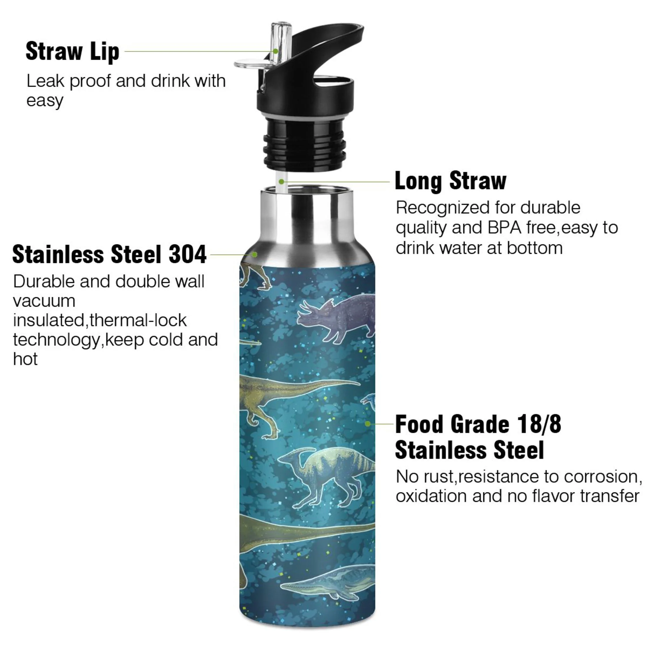 Stainless Steel Water Bottle Dinosaur Cartoon Animal with Straw Lid Vacuum Insulated Keeps Hot and Cold Leak Proof Flask Jug for Gym Travel Sports Cycling Outdoor 20 OZ