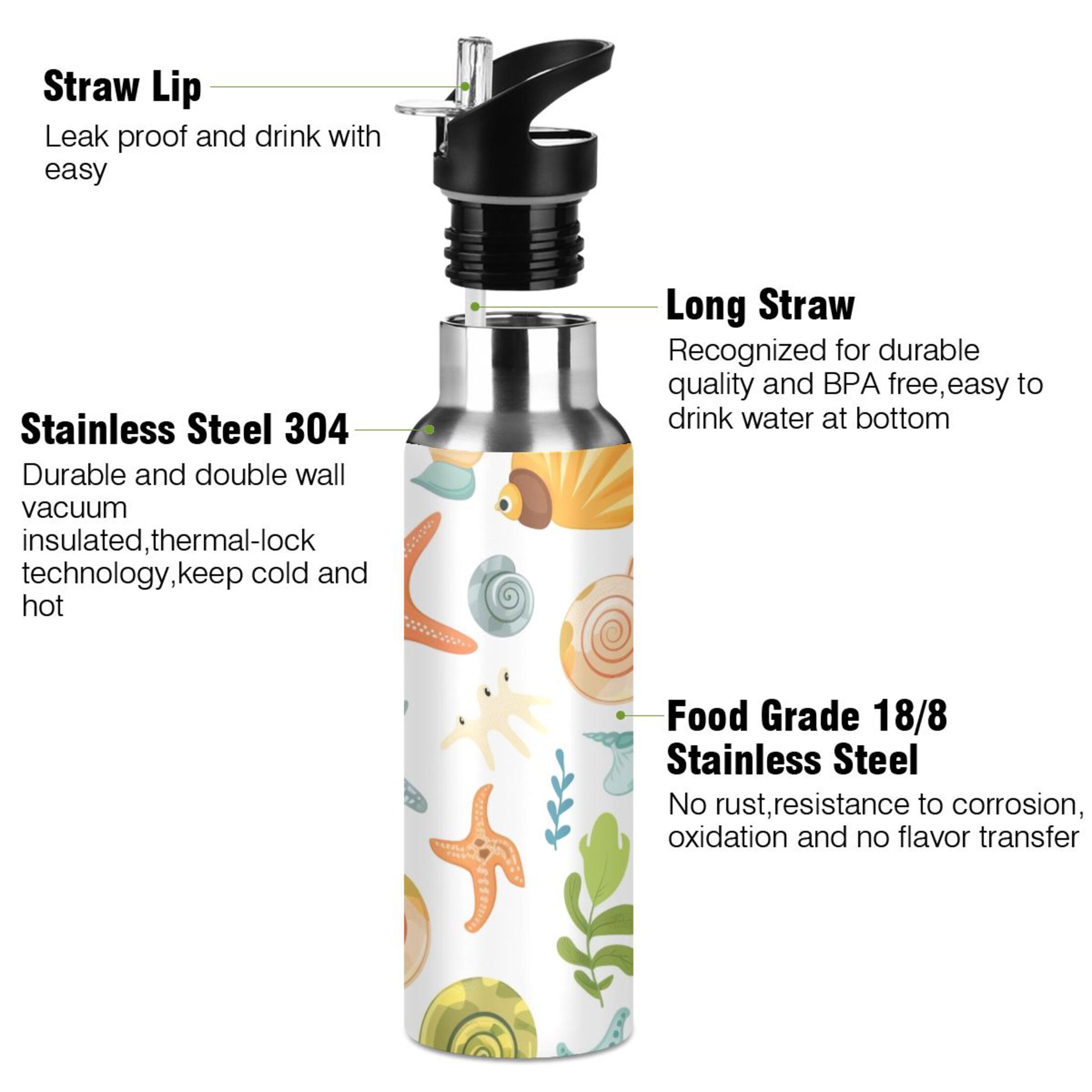 Starfish Snails Conch Water Bottles Insulated Thermos Kids Stainless Steel Bottle with Straw Lid Flask Leakproof for Sports Gym 20 oz