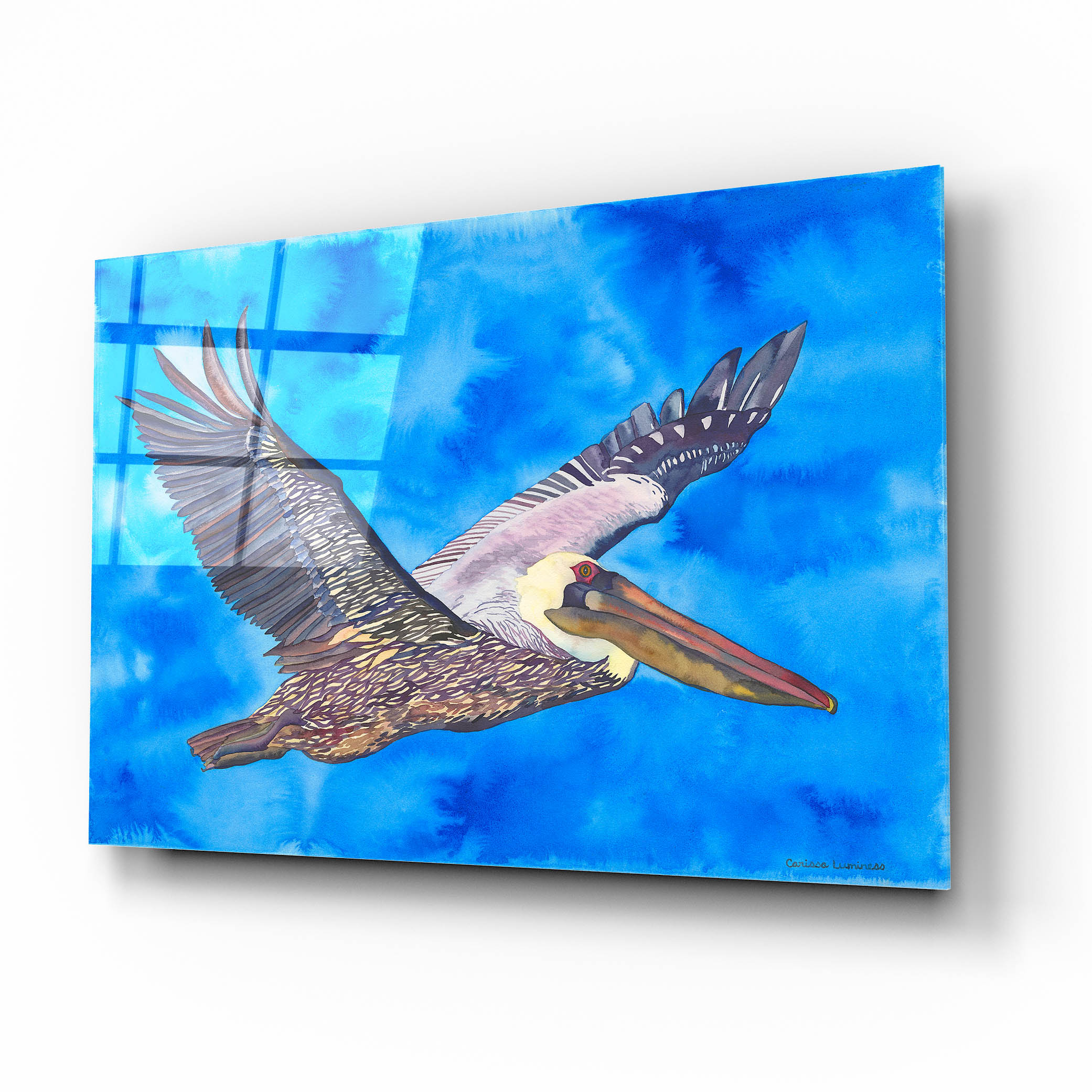 Epic Art 'Flying Pelican' by Carissa Luminess, Acrylic Glass Wall Art, 16