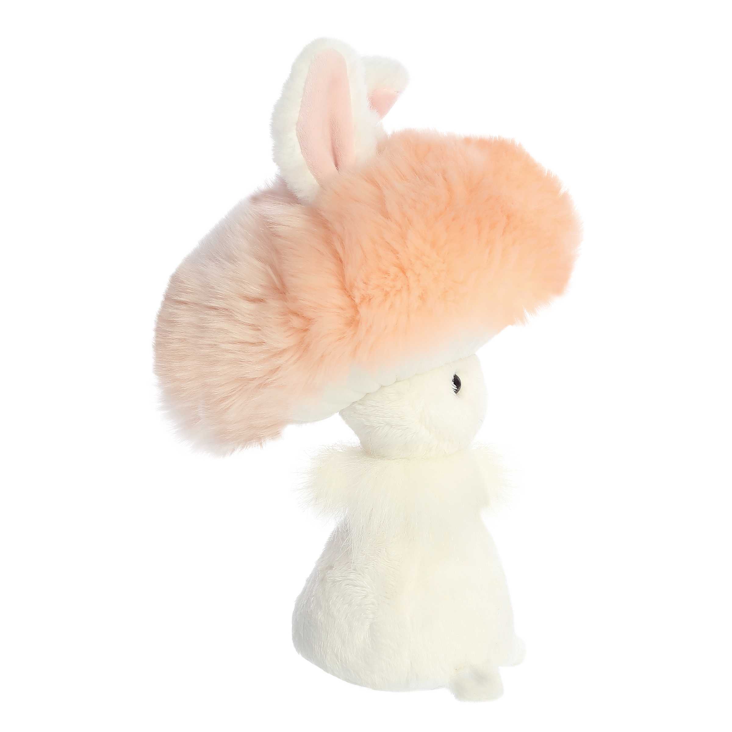 Aurora - Small Peach Spring - 8