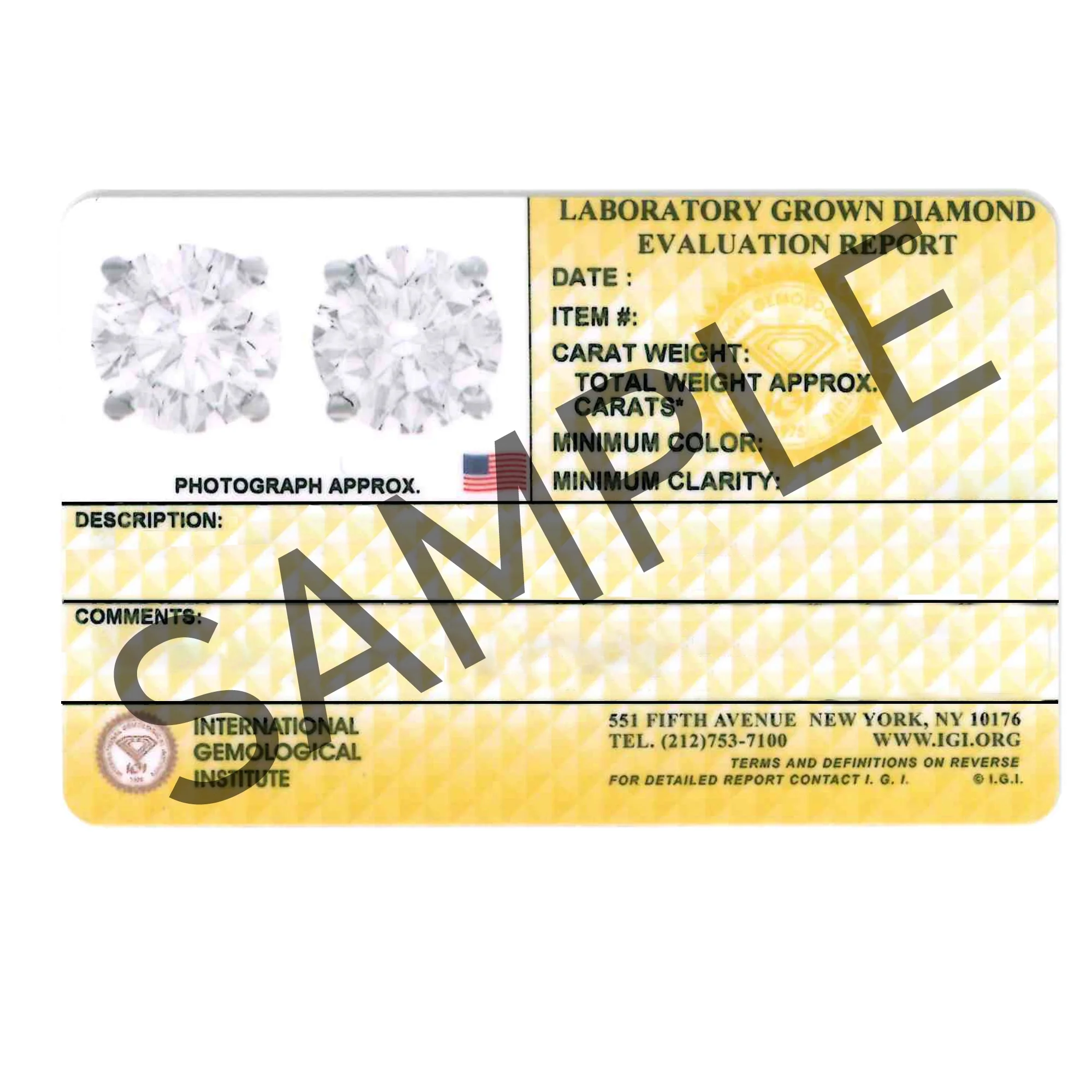 New World Diamonds 0.75 Cttw Lab Grown Pink Diamond IGI Certified Stud Earrings 14k White Gold