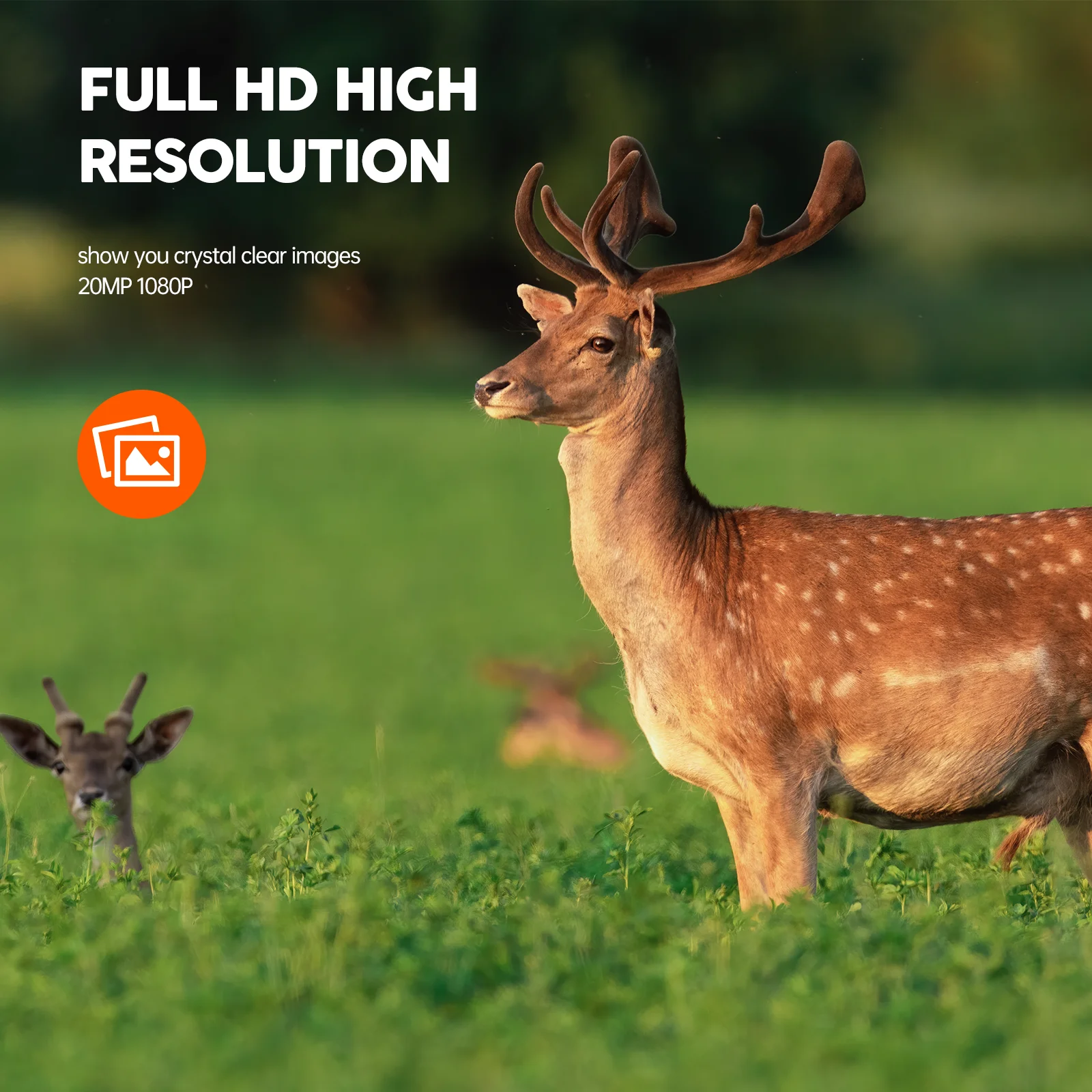 CAMPARK Trail Camera 24MP 1080P HD Deer Game Camera Infrared Night Vision Waterproof Motion Activated Wildlife Scouting Hunting Trail Cam with 120°Wide Angle Lens 2.0