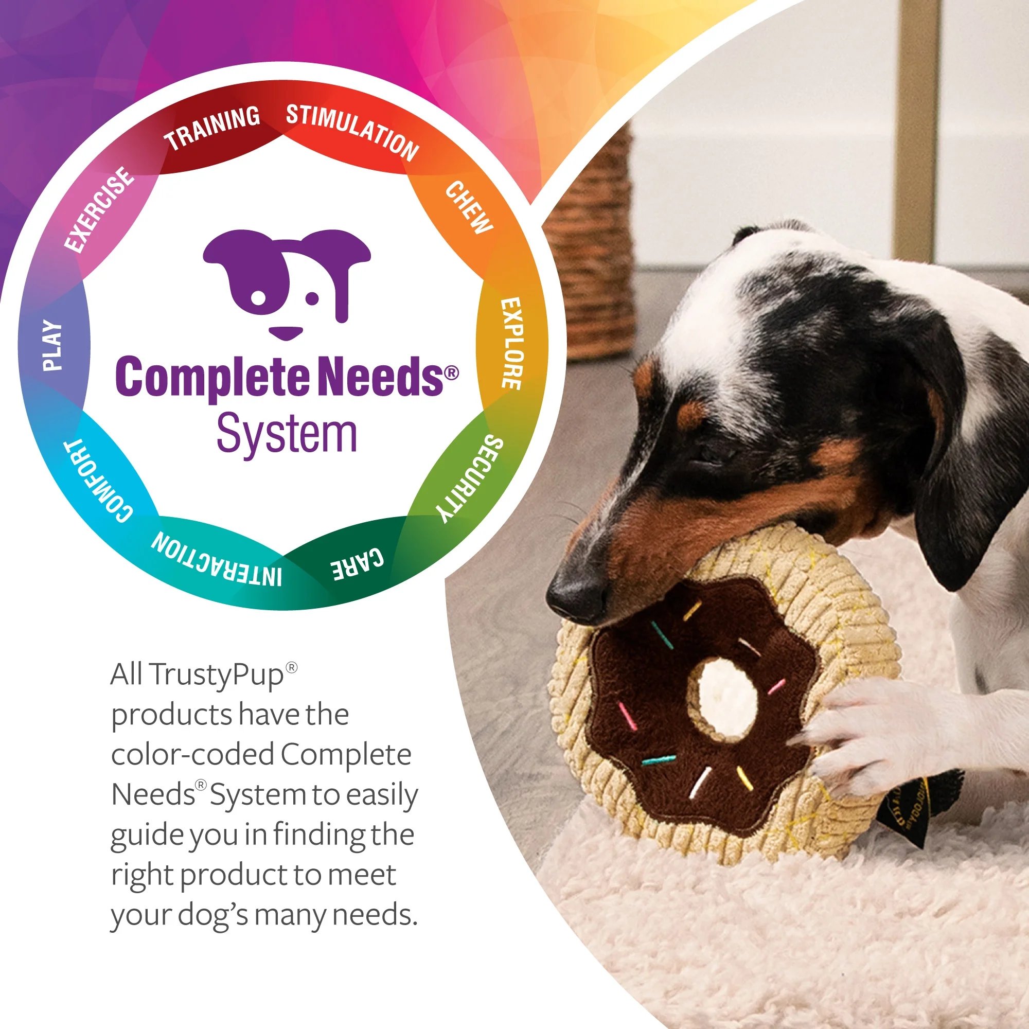 TrustyPup Donut Squeaky Plush Chew Guard Dog Toy, Small