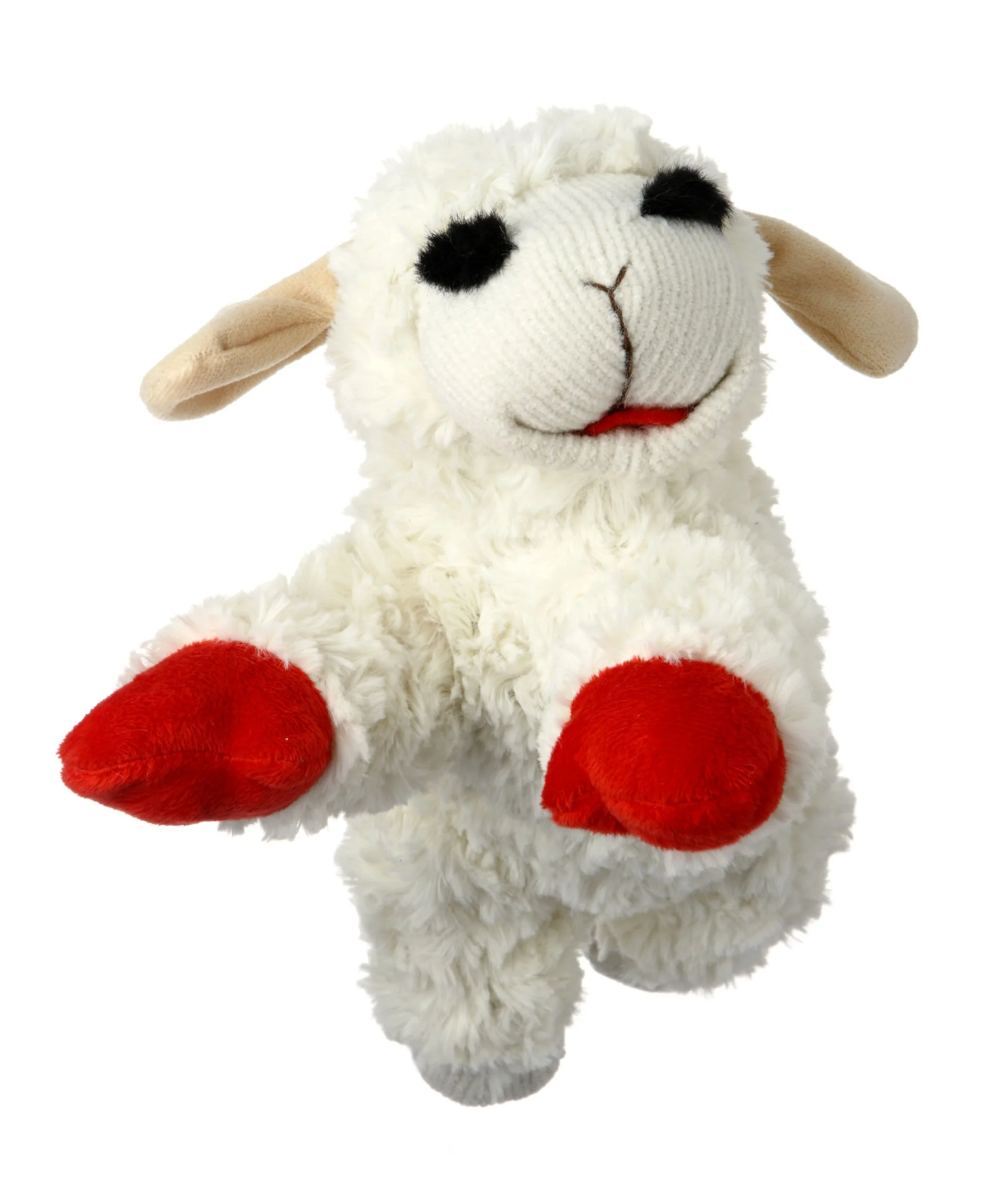 KIT Lamb Chop, 10