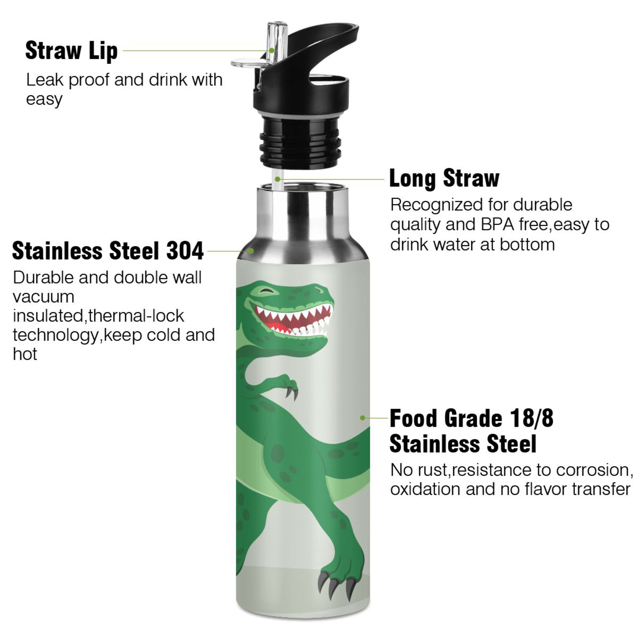 Stainless Steel Water Bottle Big Cheerful Dinosaur with Straw Lid Vacuum Insulated Keeps Hot and Cold Leak Proof Flask Jug for Gym Travel Sports Cycling Outdoor 20 OZ