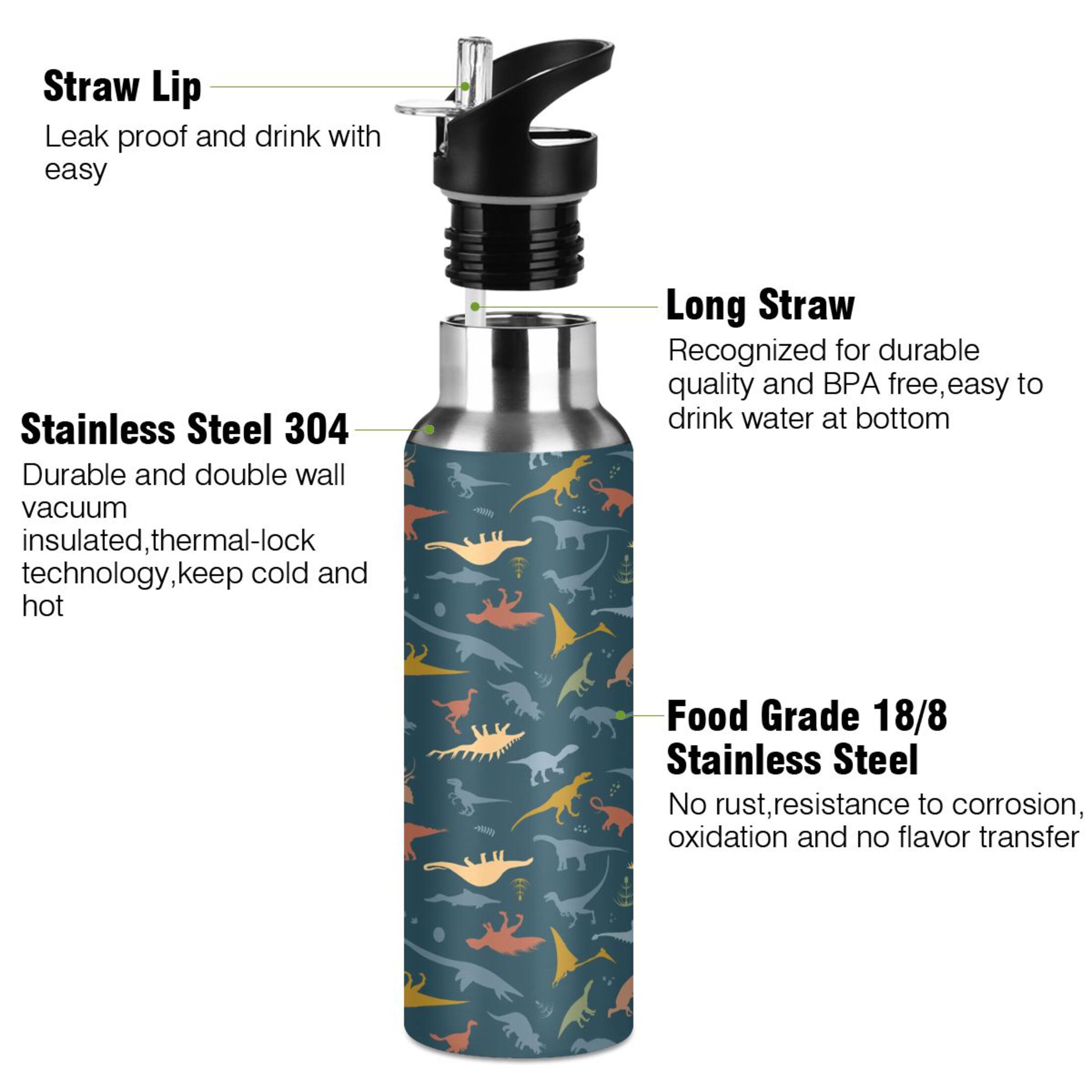 Stainless Steel Water Bottle Dinosaur Pattern with Straw Lid Vacuum Insulated Keeps Hot and Cold Leak Proof Flask Jug for Gym Travel Sports Cycling Outdoor 20 OZ