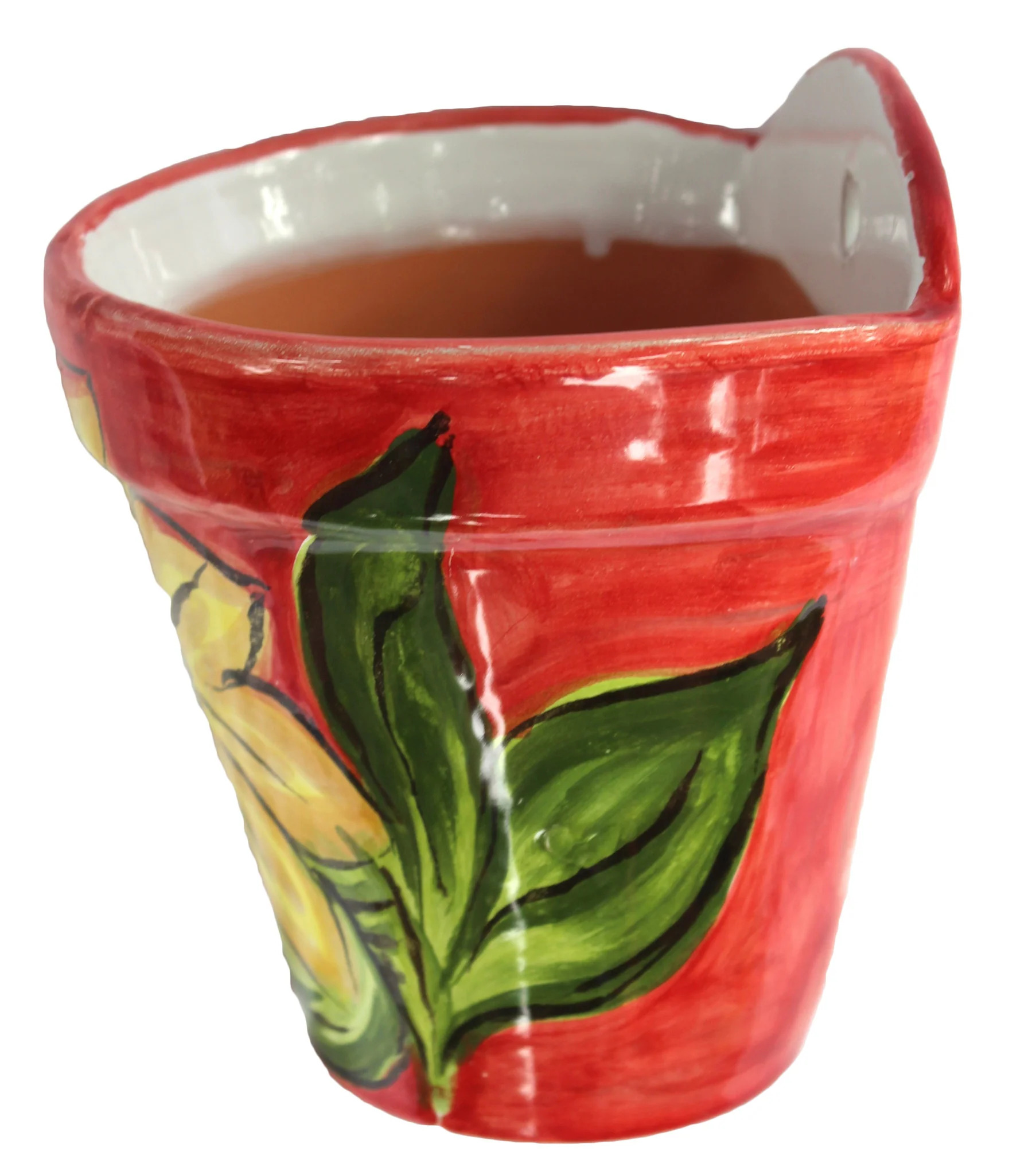 Wall Hanging Flower Pot - Spanish Sunflower