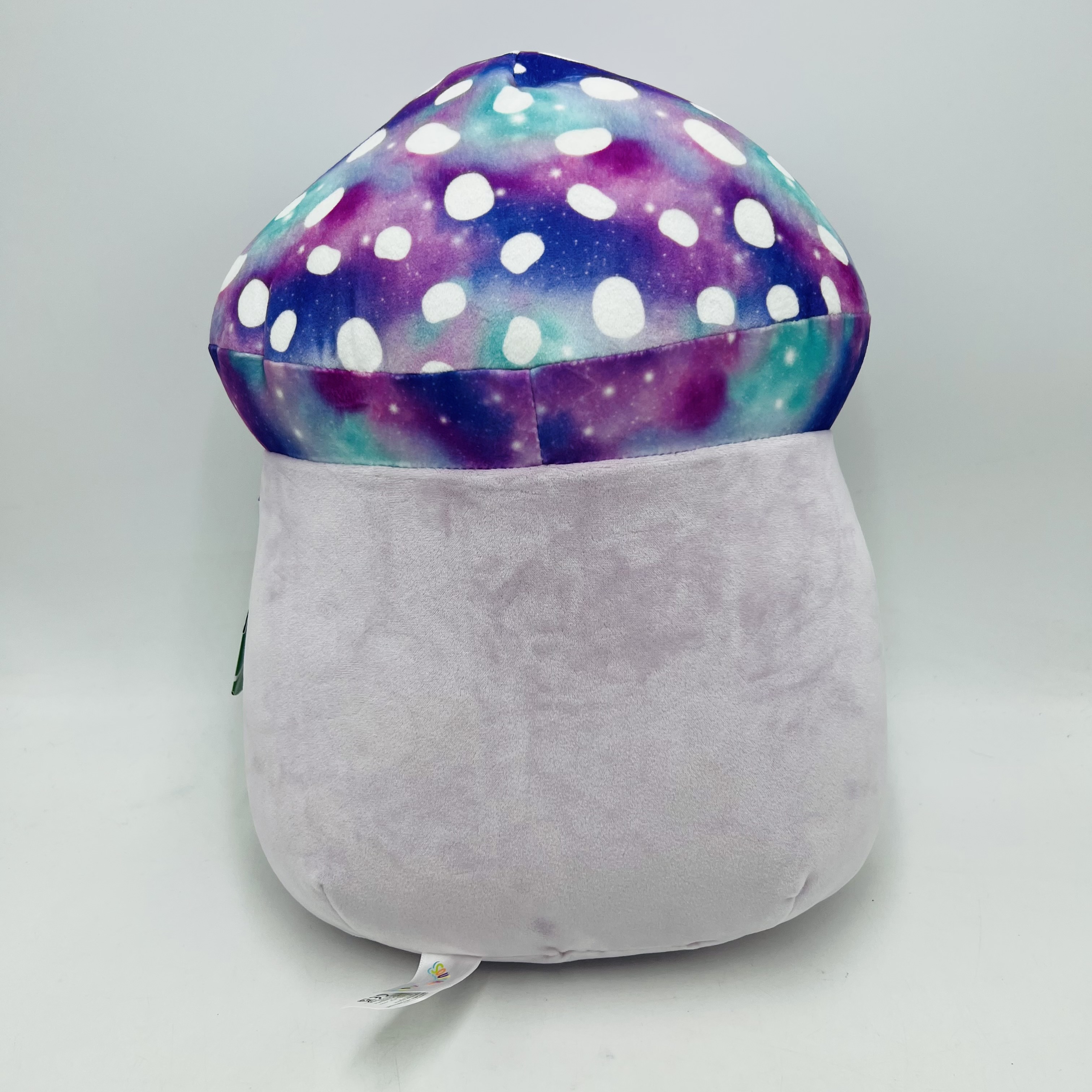 Squishmallows Minya 14