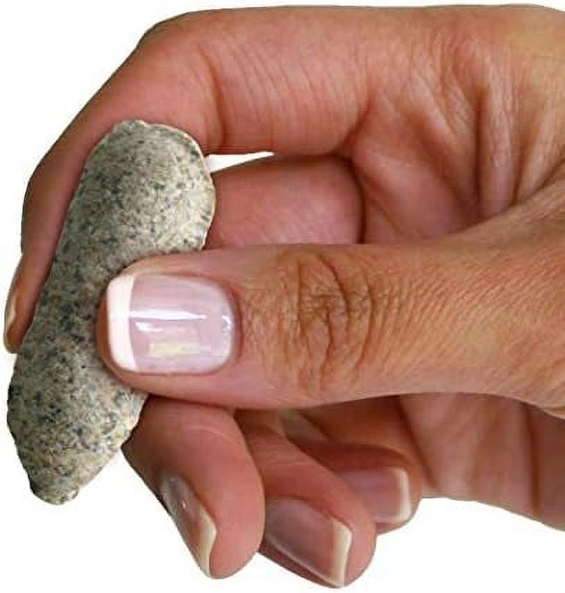 Jobe's, 04226 Fertilizer Spikes, and Citrus, 6 Count, Slow Release, Apple, Orange, Lemon, Trees