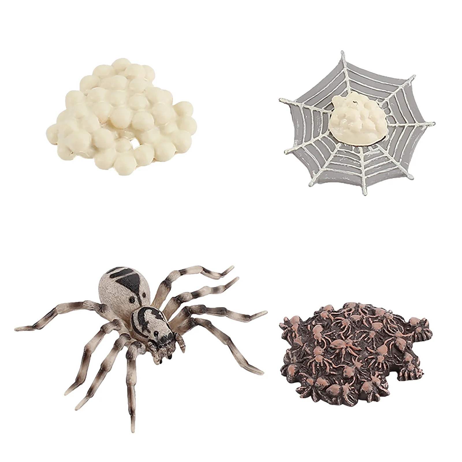 Tarmeek 4 Piece Insect Figure Animal Life Cycle Plastic Brood To Mature Period Christmas Gifts for Kids 3-12Y