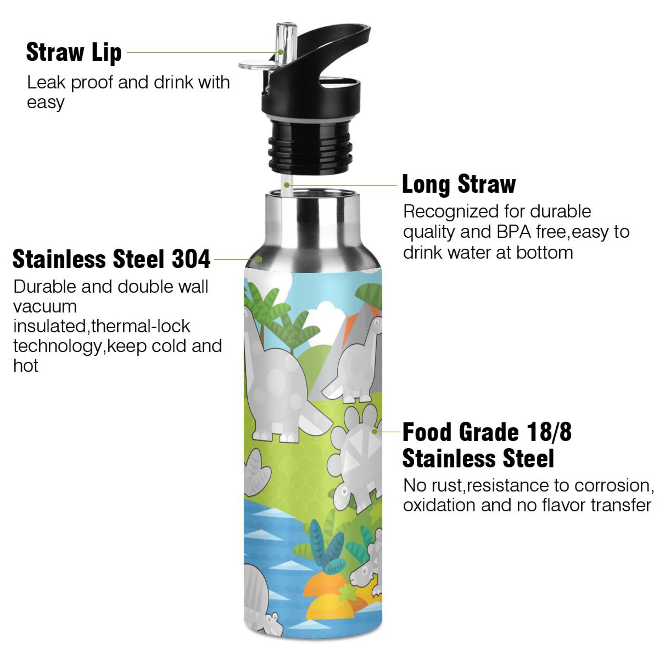 Stainless Steel Water Bottle Gray Dinosaurs with Straw Lid Vacuum Insulated Keeps Hot and Cold Leak Proof Flask Jug for Gym Travel Sports Cycling Outdoor 20 OZ