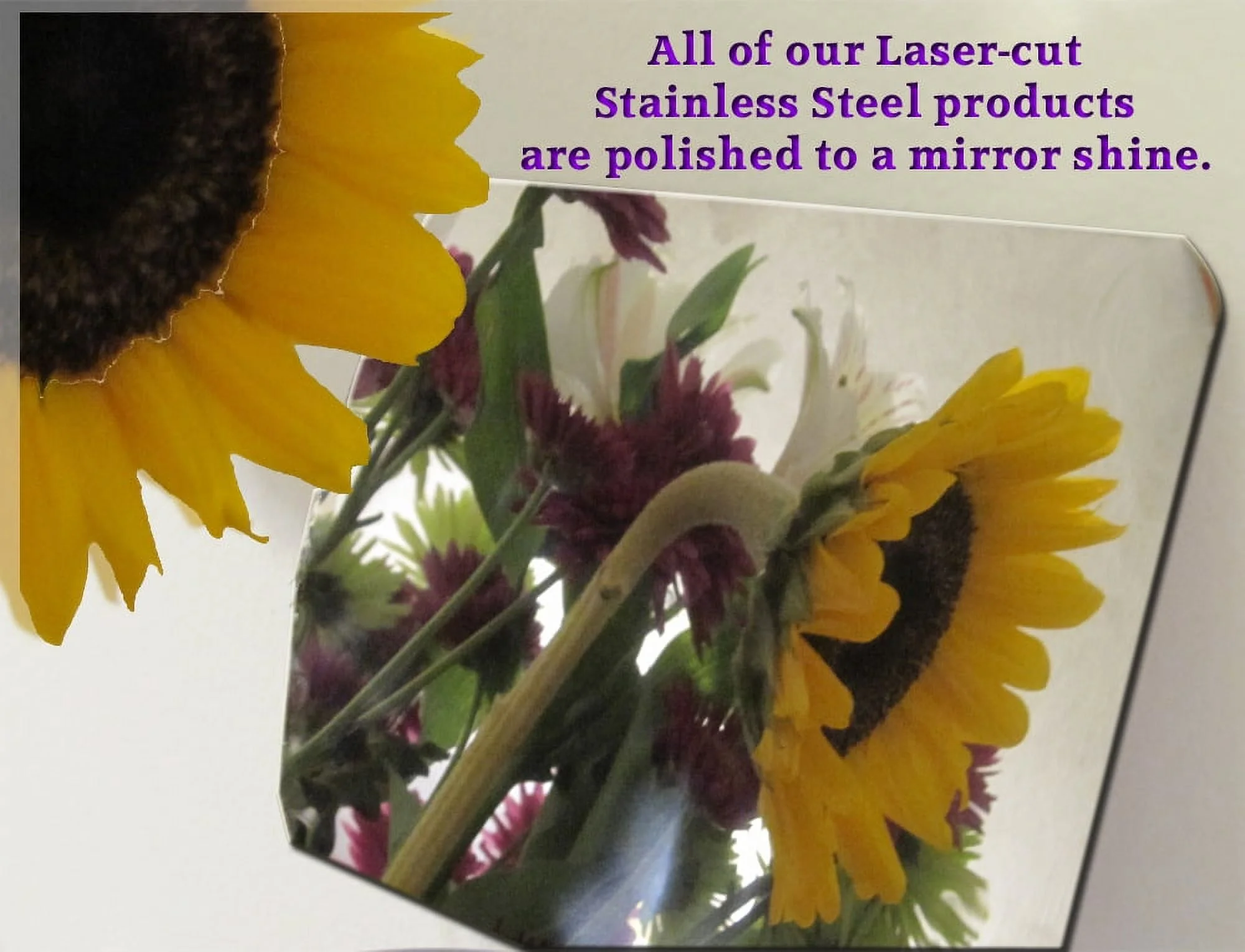 Stainless Steel Side Accent Trim 4Pc Fits 2013-2018 Toyota Rav4 AT13180 QAA