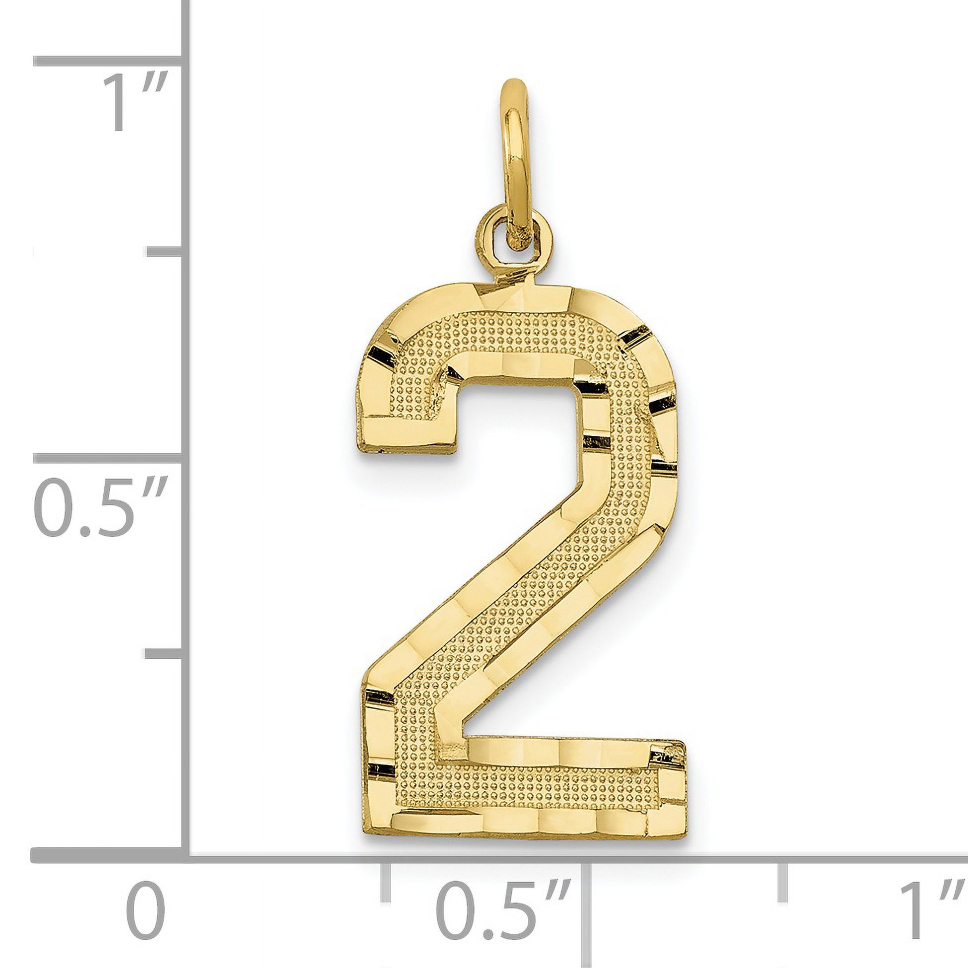 Saris and Things 10K Yellow Gold Casted Large Diamond Cut Number 2 Charm
