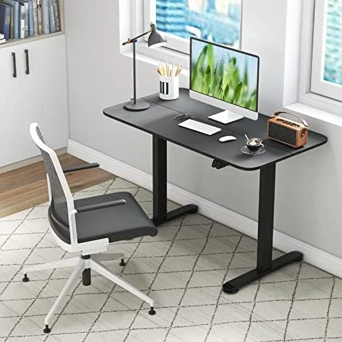 xrboomlife Height Adjustable Electric Standing Desk  44 x 24 Inches Sit to Stand Computer Workstation with Cable Management Hole  Ergonomic Stand up Desk with Splice Board for Home Office