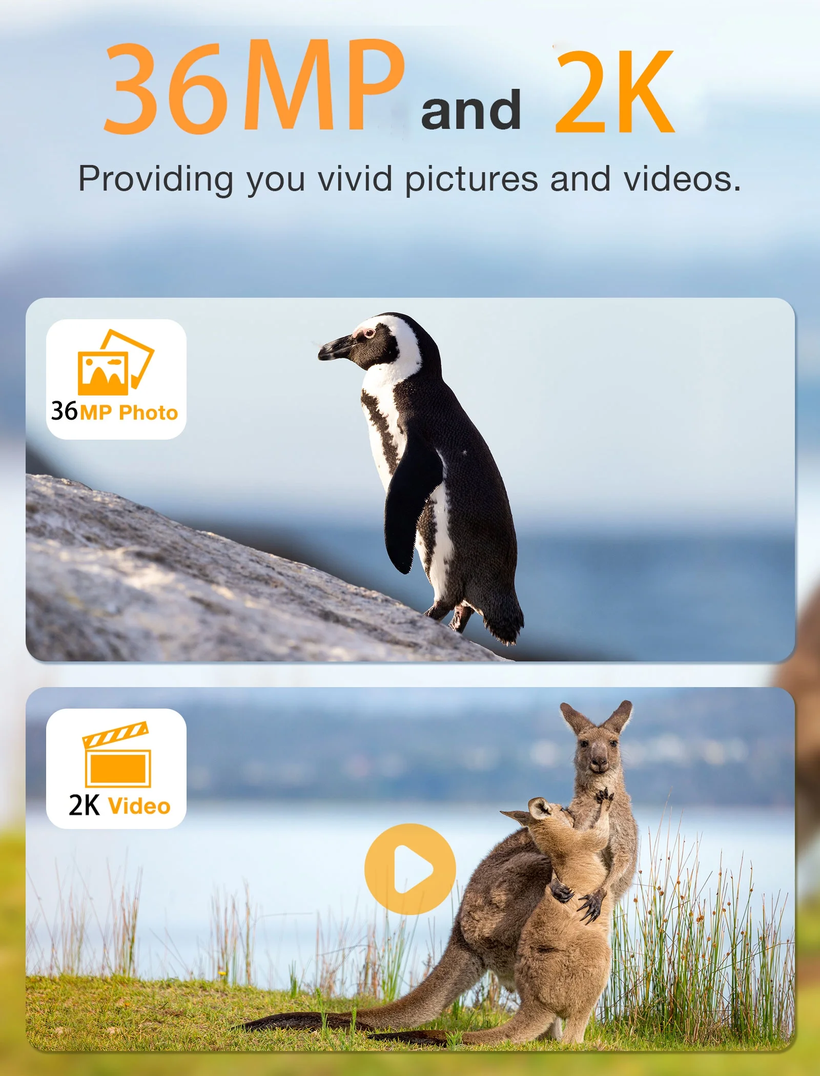 CAMPARK 2 Pack Trail Camera 36MP 2K Game Deer Hunting Camera with Night Vision Waterproof 120° Wide Angle Motion Activated 2.0