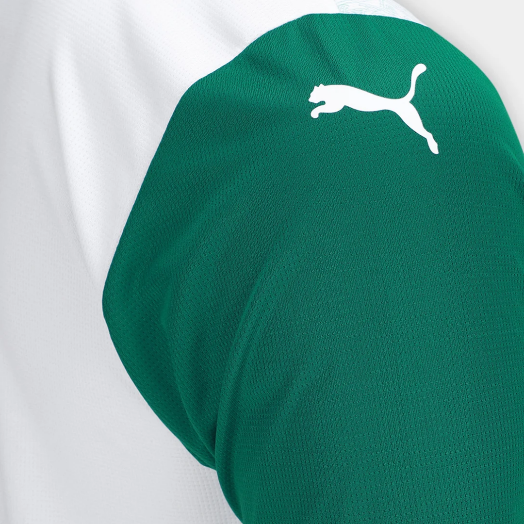 SE Palmeiras Away Jersey 2025