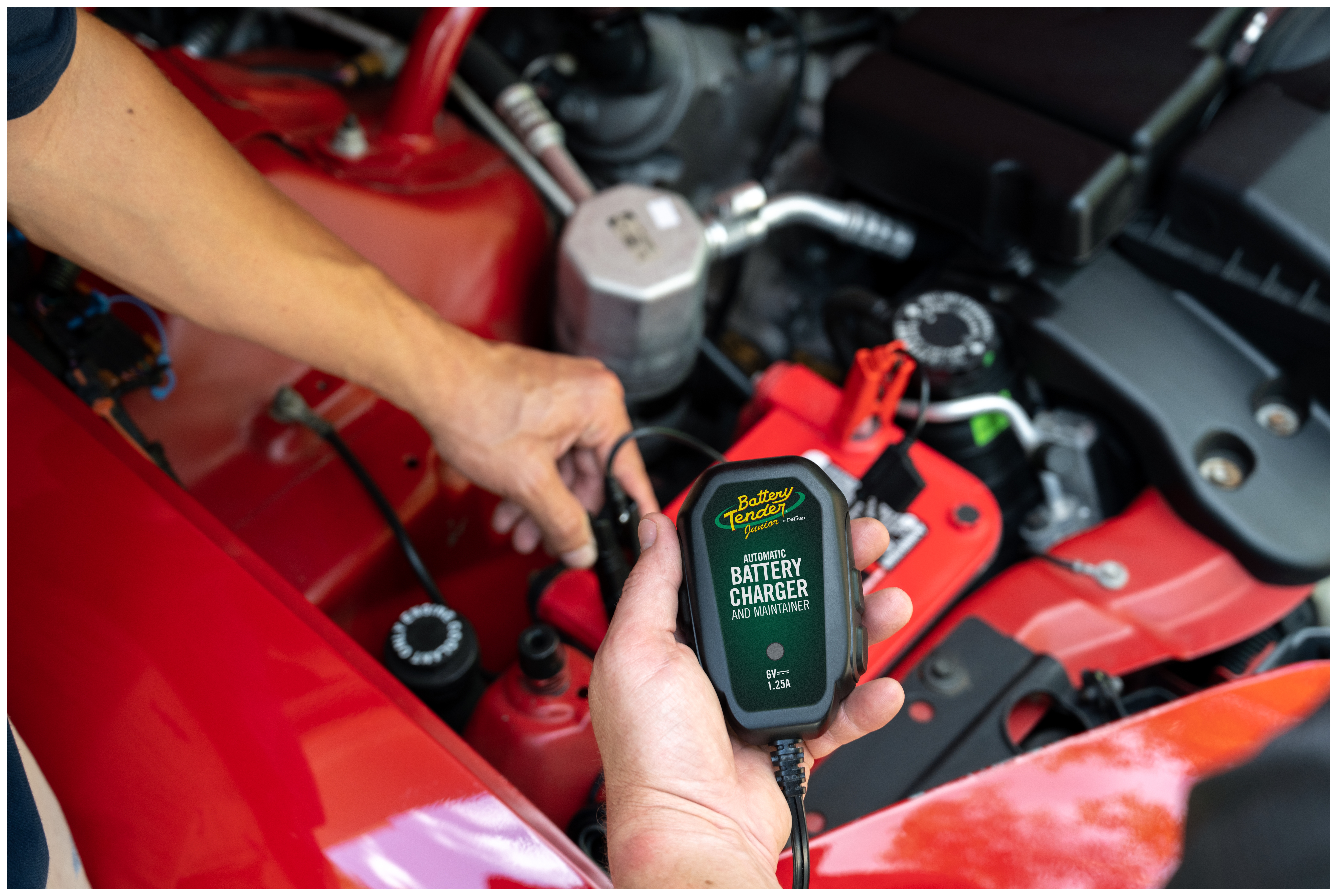 FortNine Battery Tender Junior 1.25 Amp 6V Battery Charger